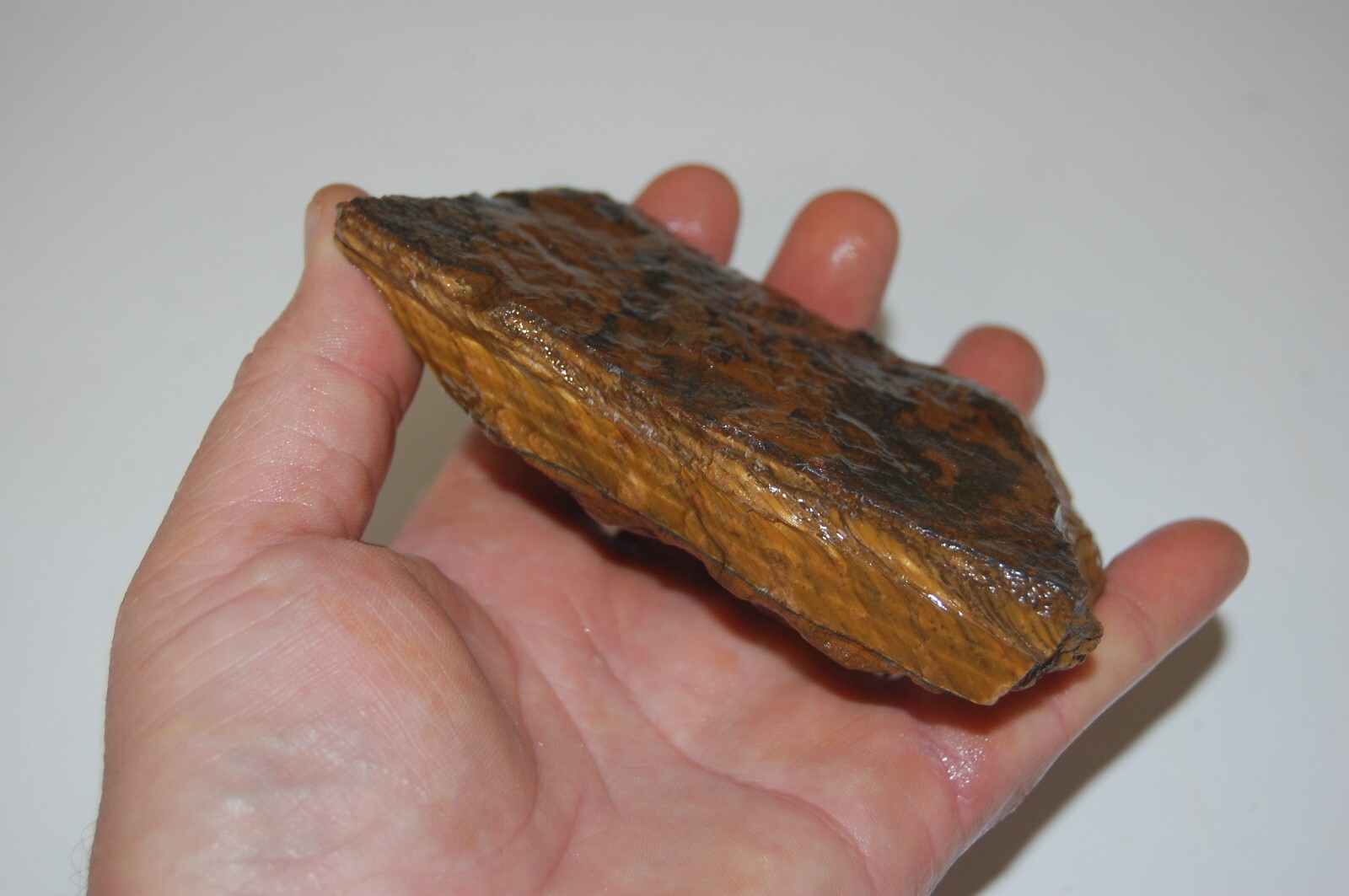 1 LB 1 OZ Gold Tiger’s Eye Natural Rough Gemstone Mineral Specimen South Africa