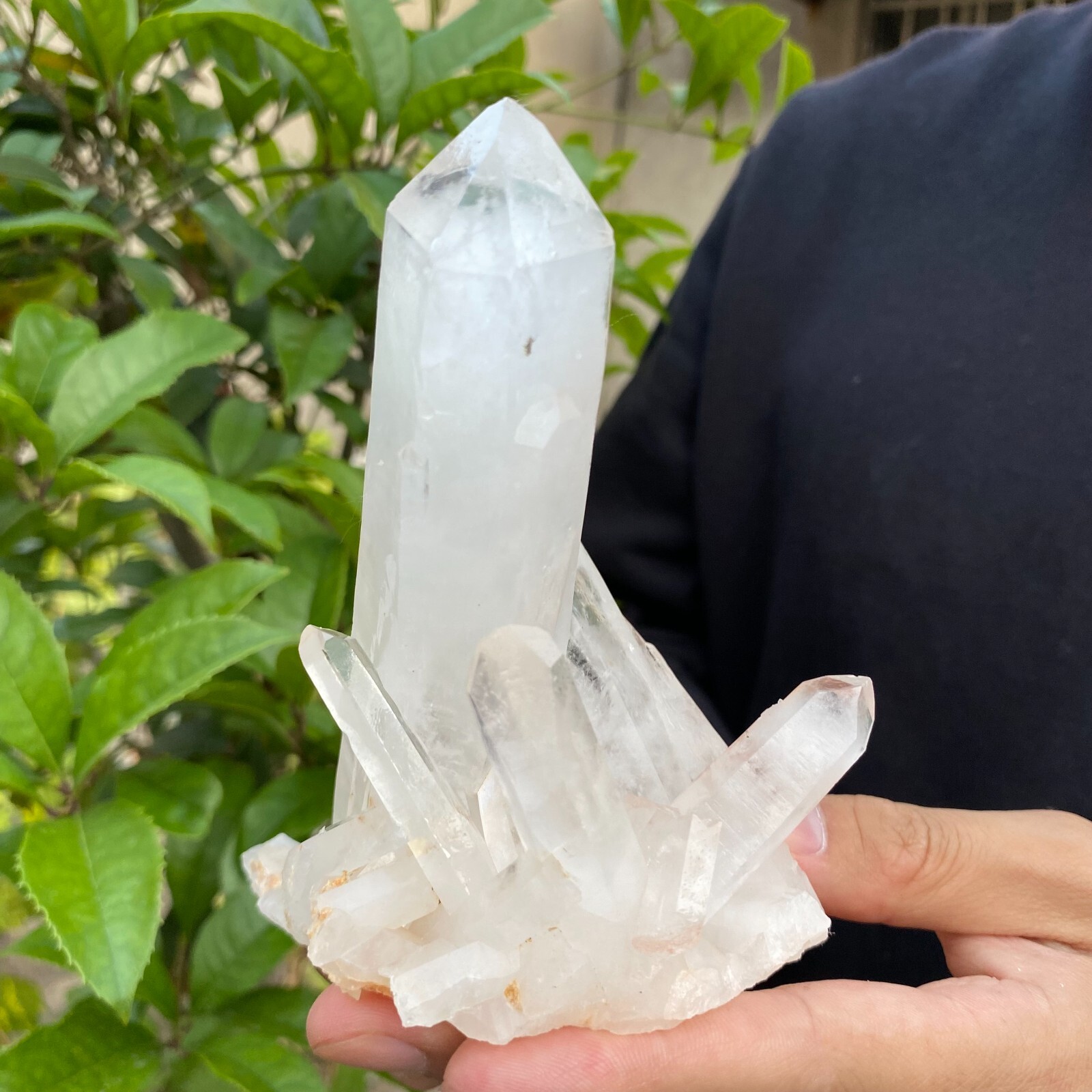 1.1lb Natural Clear White quart Crystal Cluster Raw Healing Specimen