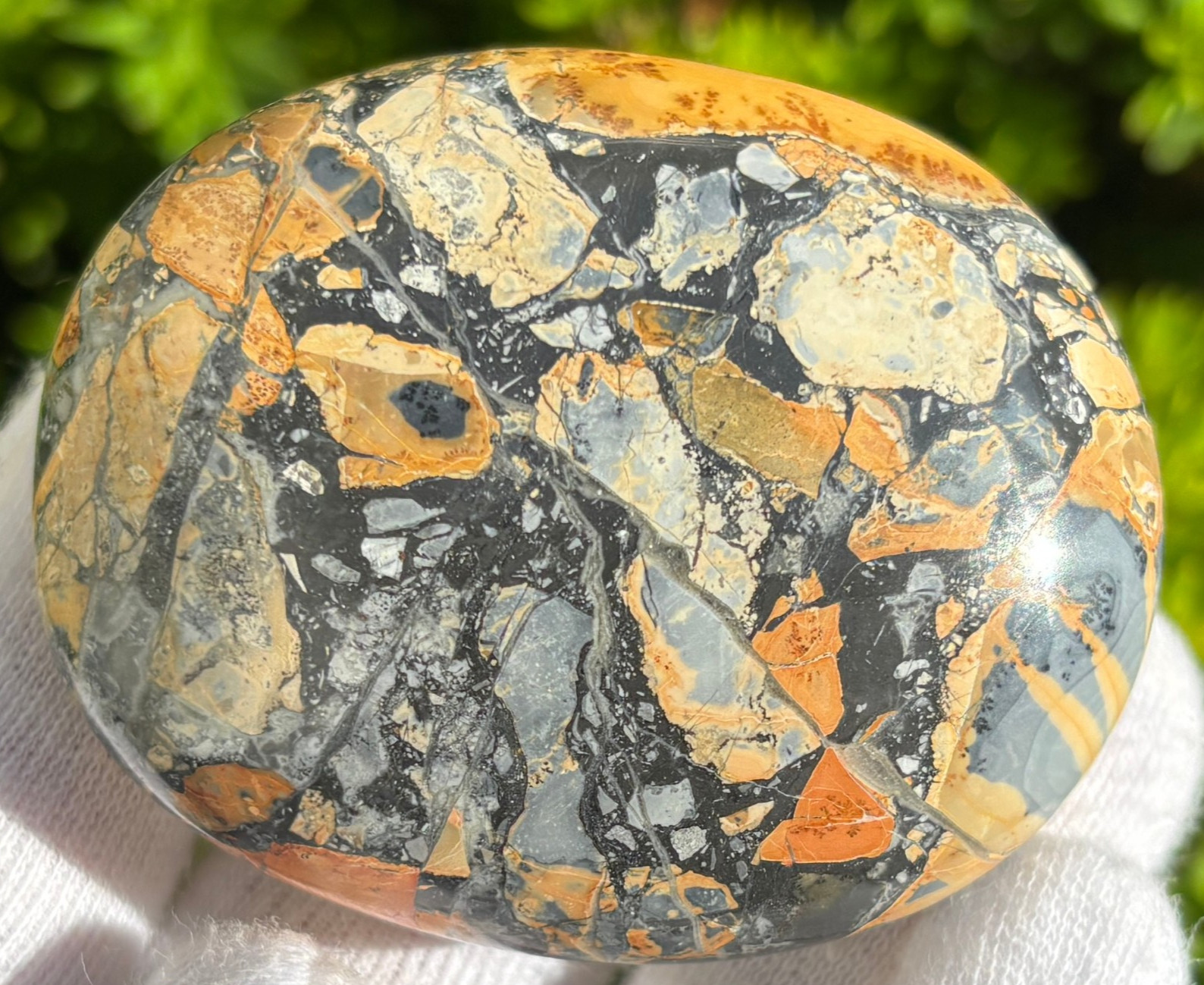 USA SALE SEE VIDEO 195g LOT MALIGANO JASPER PALMSTONES PALM STONES PALM STONE