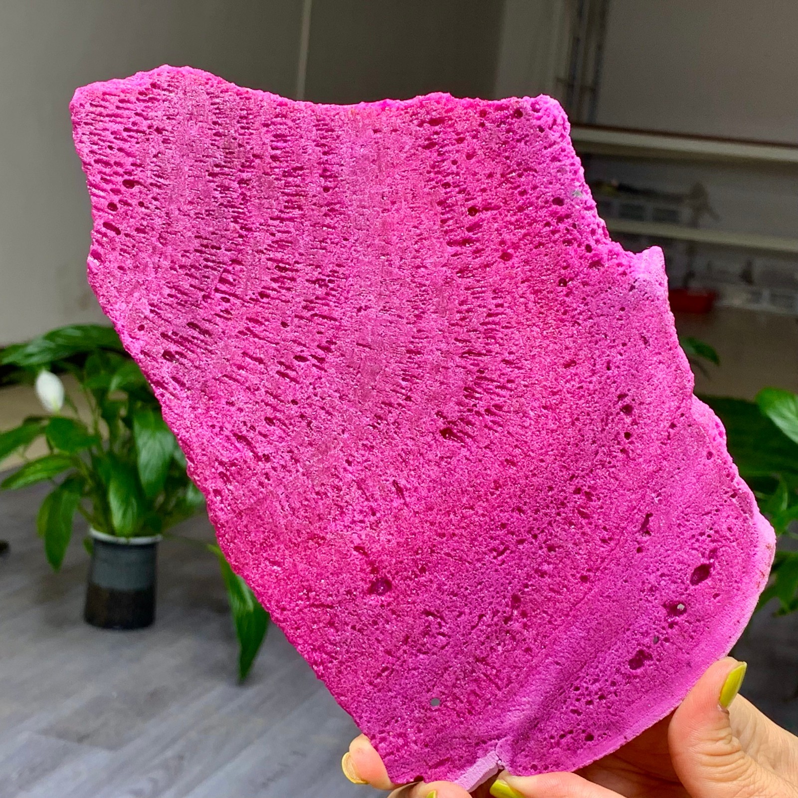 1.14LB Natural Rough Red Corundum Phlogo Pit Mineral Spirits Ruby Raw Gemstone