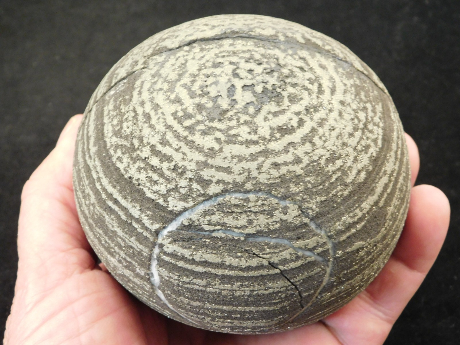 BIG! 100% Natural Ringed PYRITE Concretion From China! With Stand 1241gr