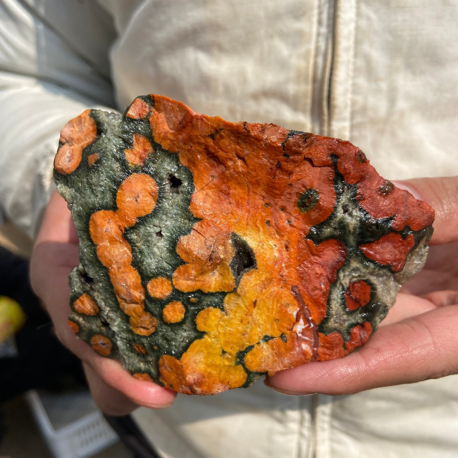 1lb Natural colourful ocean jasper raw stone crystal rough mineral specimen