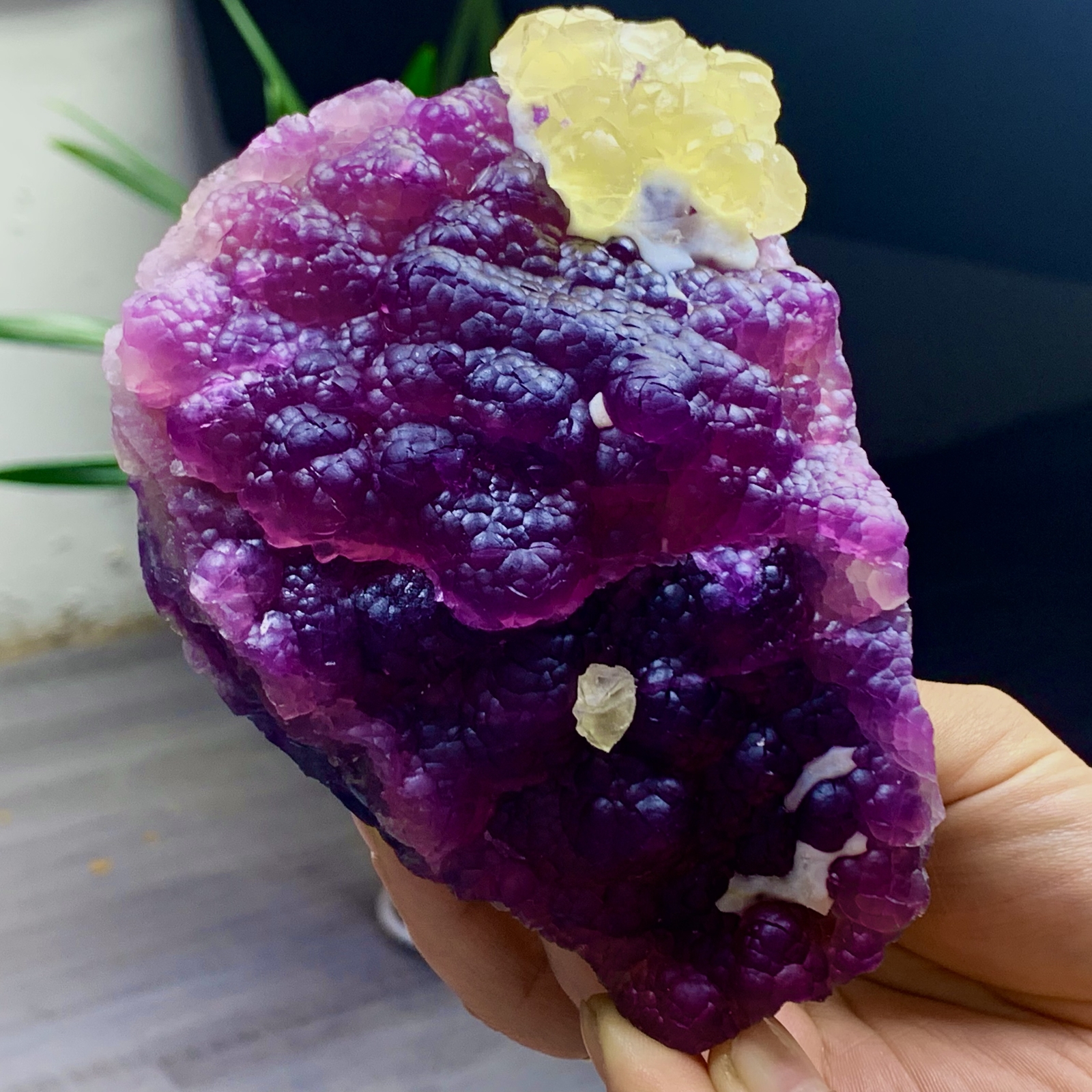 2.40LB Complete rare and gorgeous purple fluorite from Inner Mongolia, China