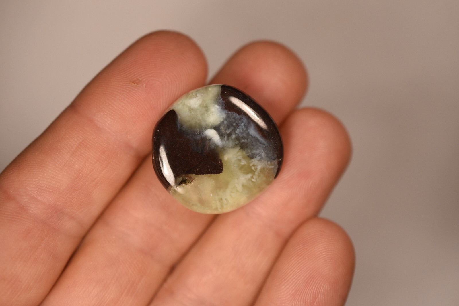 *AUSTRALIAN PREHNITE* Flat Stone 2.5cm 10g Palm Worry Natural Stone