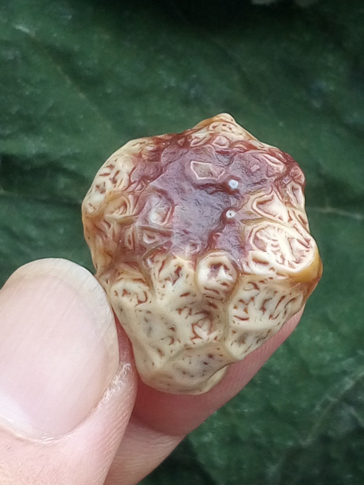 26mm Beautiful Natural GoBi agate veins agate collection