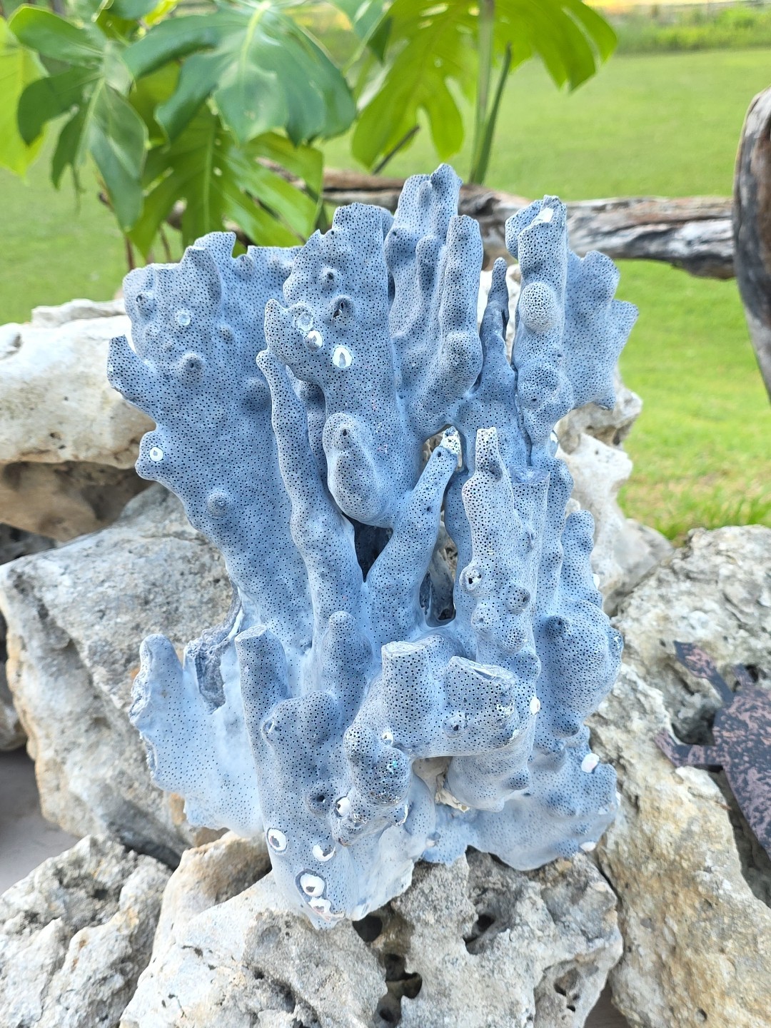 10 lb Nat Blue Coral Reef Cluster Marine Mineral Crystal Specimen Aquarium 14″