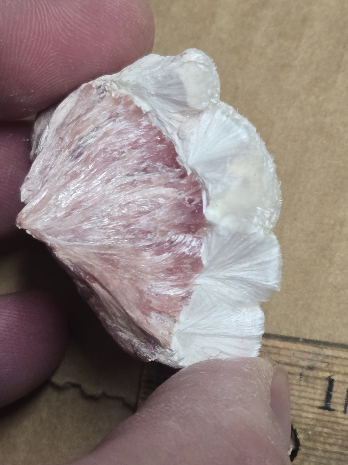 Beautiful Kutnohorite On Inesite specimen