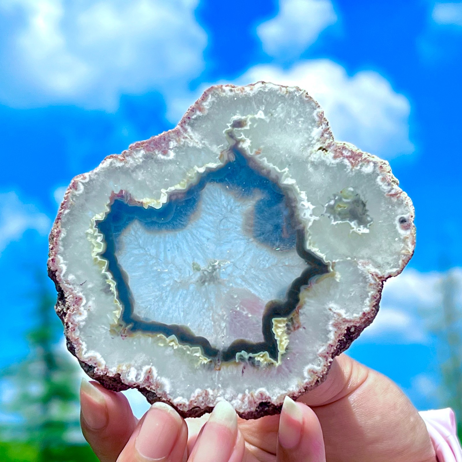 159G Natural Colorful Lace Agate Geode Slice Extra Large Gem From Argentina