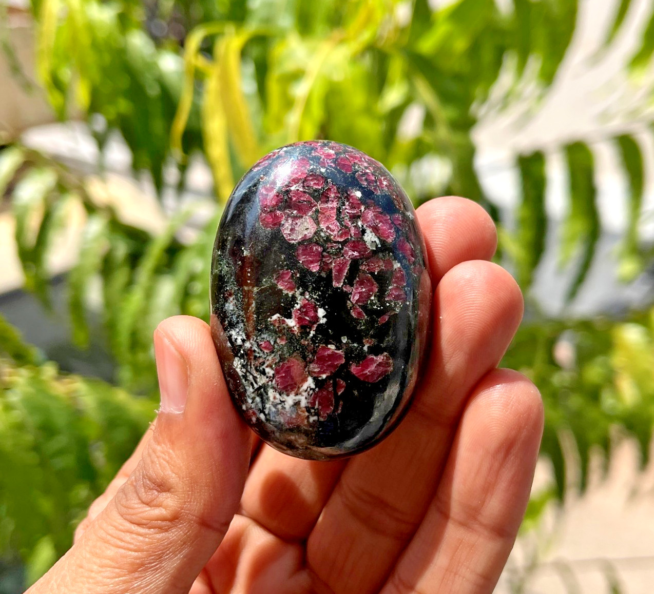 Natural Eudialyte Palm Stone 100g Polished Crystal Healing Gemstone 57x39mm