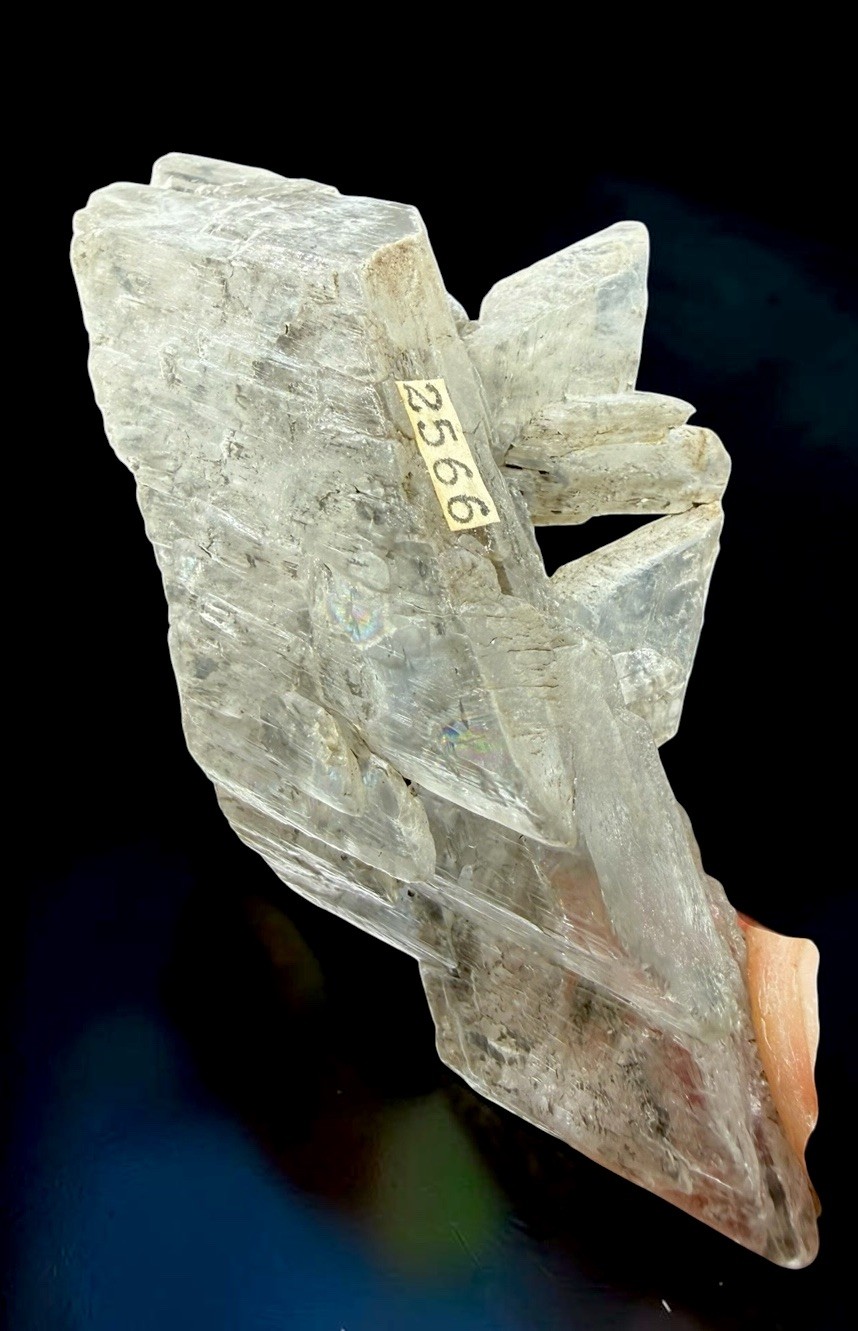 Gypsum Var. Selenite Crystal : Smoky Hill . Ellis County , Kansas 🇺🇸