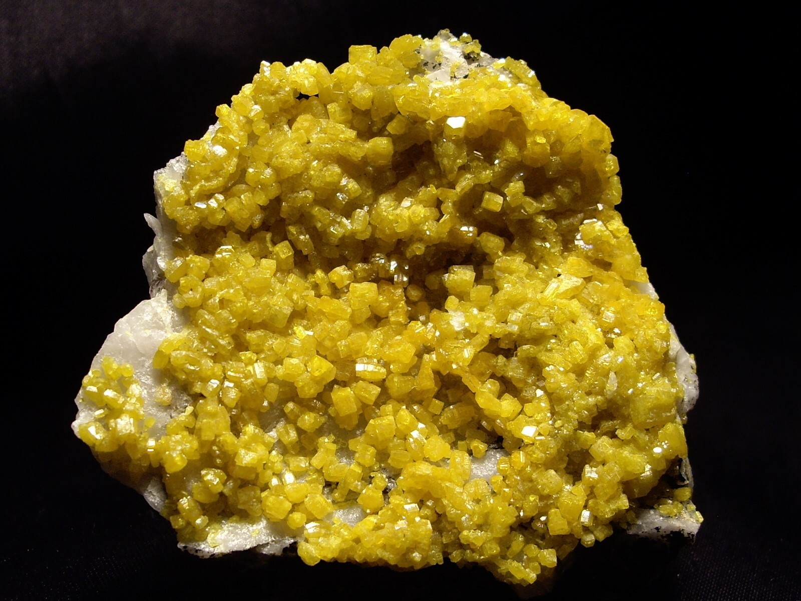 Fantastic Sparkling Mimetite * Top Color * Excellent Coverage 55.1g