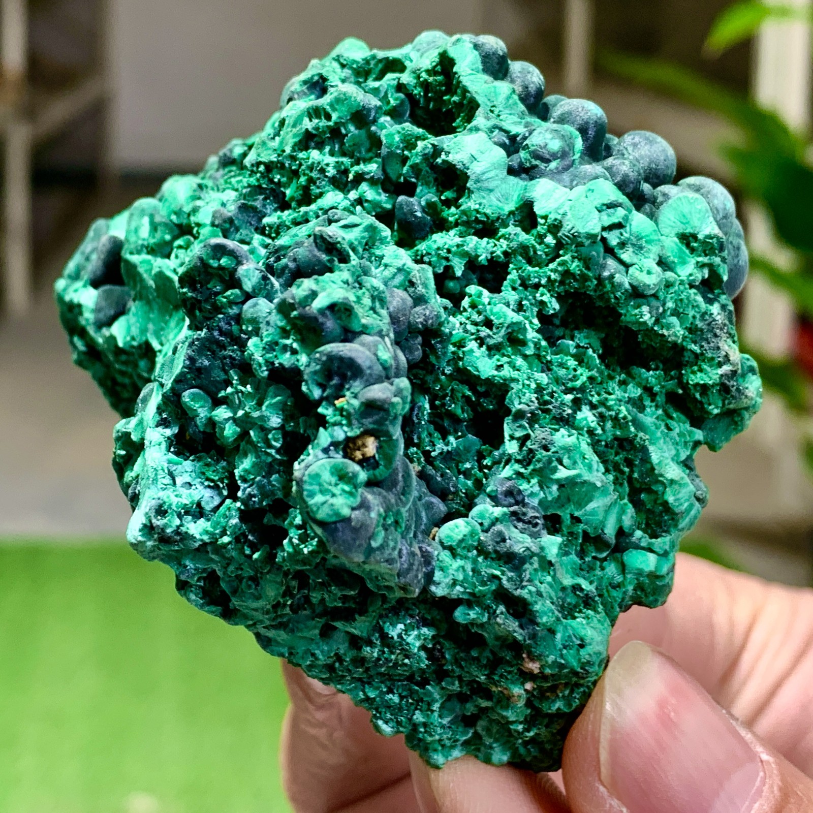 205G Natural glossy malachite cat eye transparent cluster rough mineral Sample