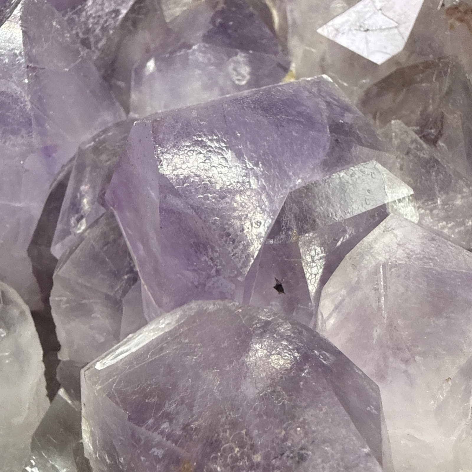 25 LB Huge Natural Amethyst Plate! Big Points! Crystals, Minerals, Congo!