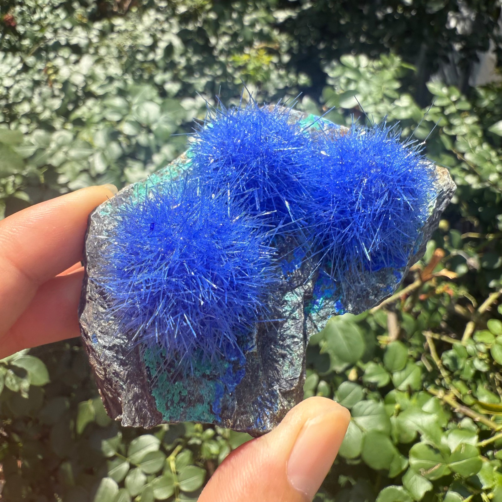 Raw Rough Dandelion Zeolite Cluster Blue Cave Quartz Crystal Specimen Decoration