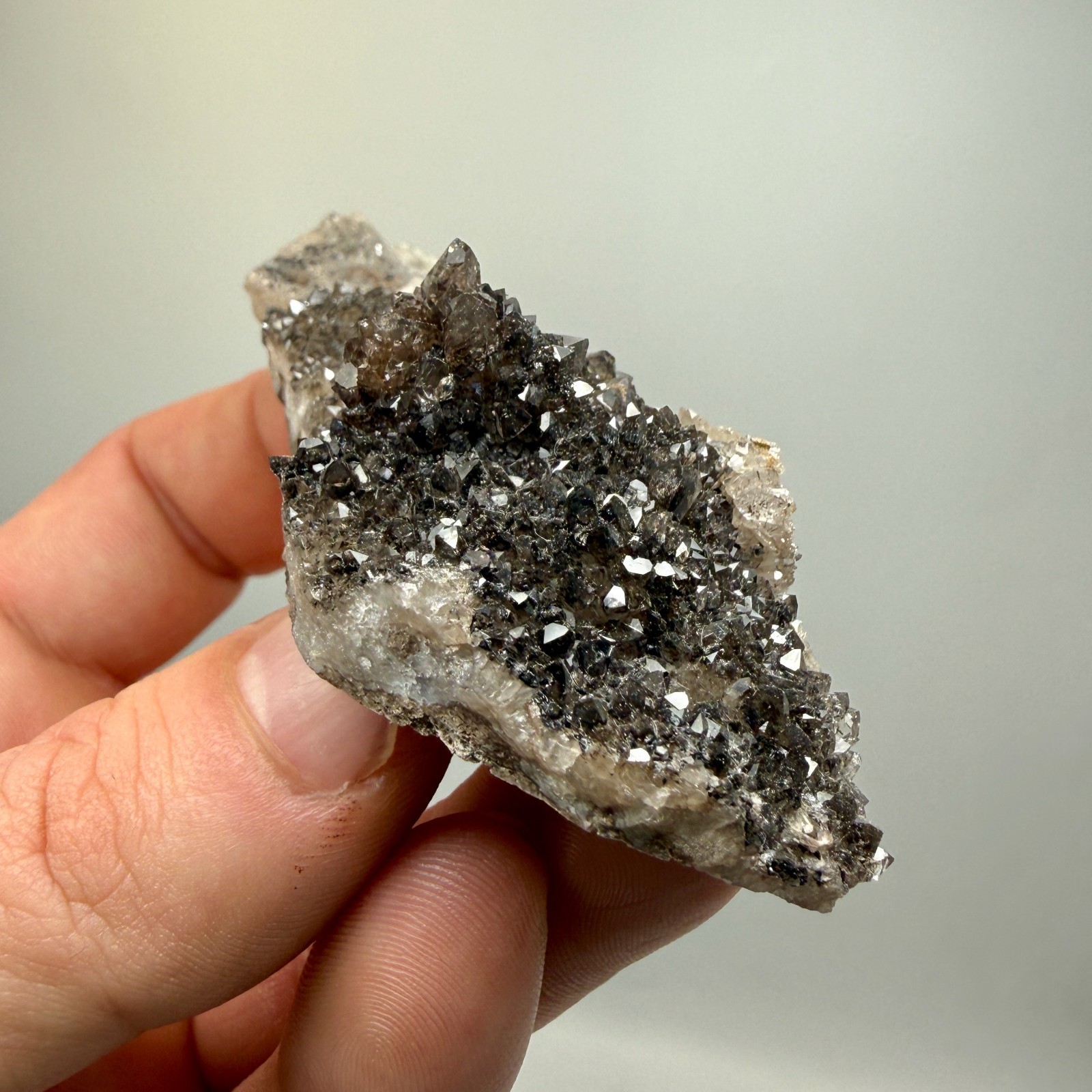 Black Druze with Hydrocarbon Phantom Percher Herkimer Diamonds, Rare Matrix!
