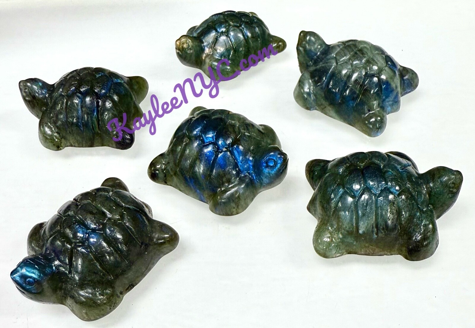 Wholesale Lot 6 Pcs 5cm Natural Labradorite Turtles Healing Energy