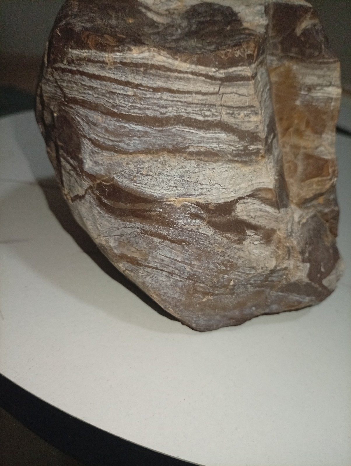 A uniquefresh looking stonea magnificent sedimentary rock from the lowest