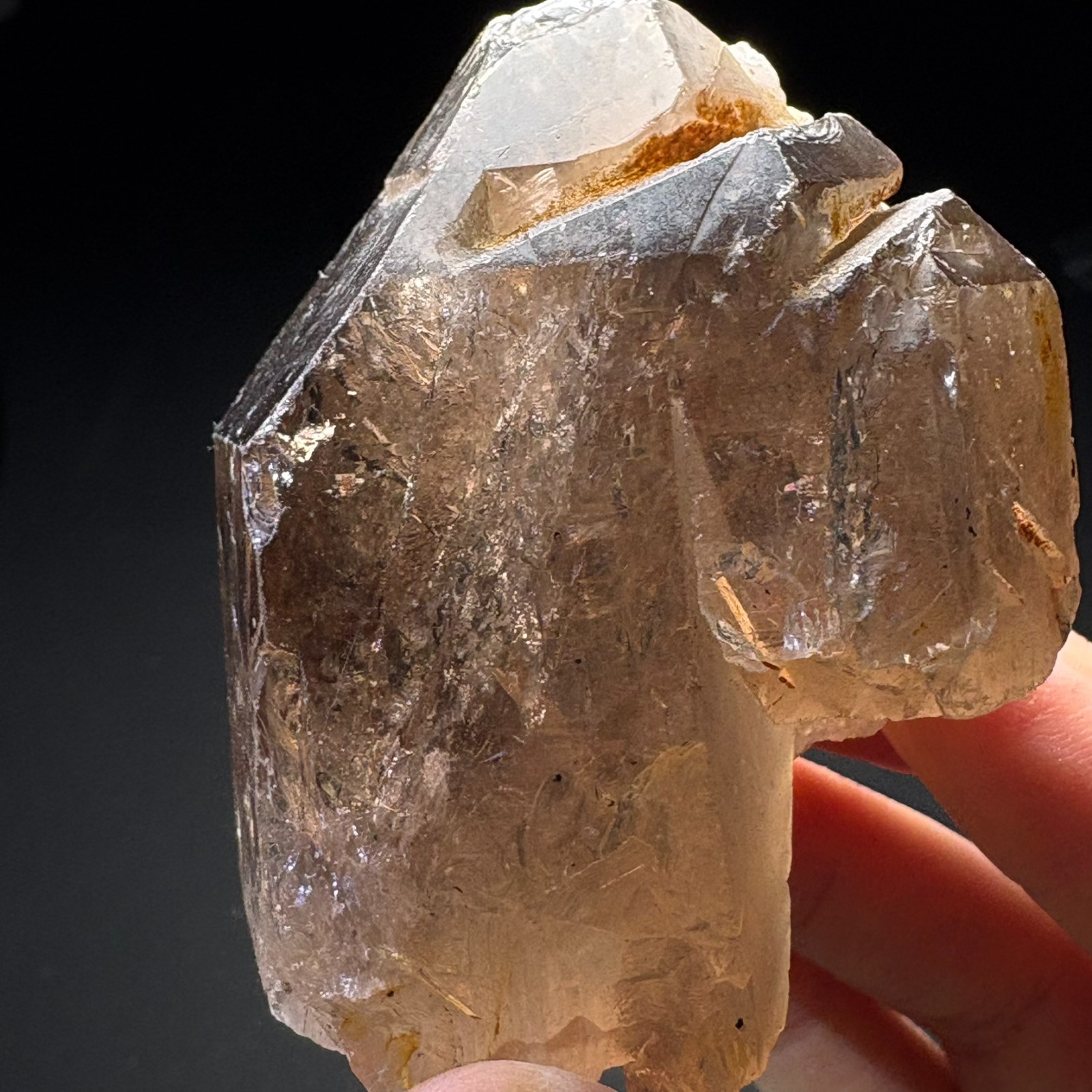 Natural Crystal Smoky Quartz with Golden Rutile Inclusion Meditation Healing 727