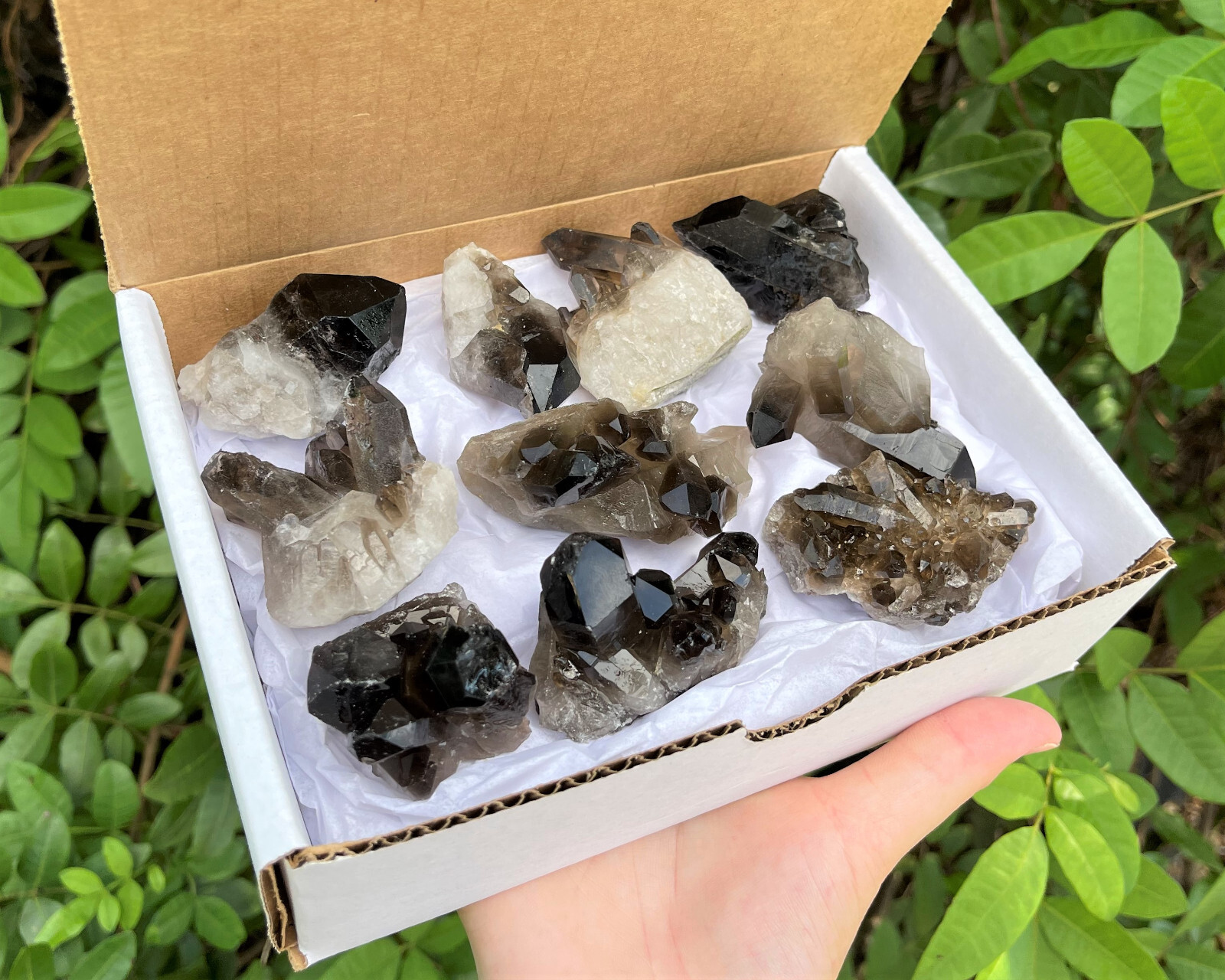 Smoky Quartz Crystal Clusters: 6-9 Piece Wholesale Bulk Box Lot (Smokey Quartz)