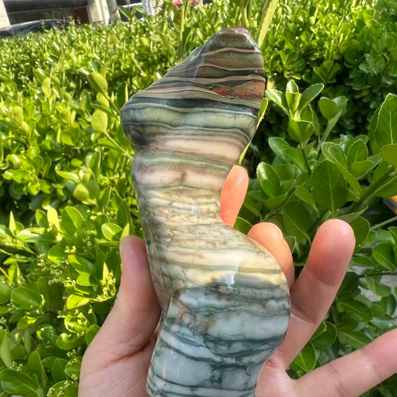 1pc Natural ocean jasper Quartz Crystal female model Mineral Specimen