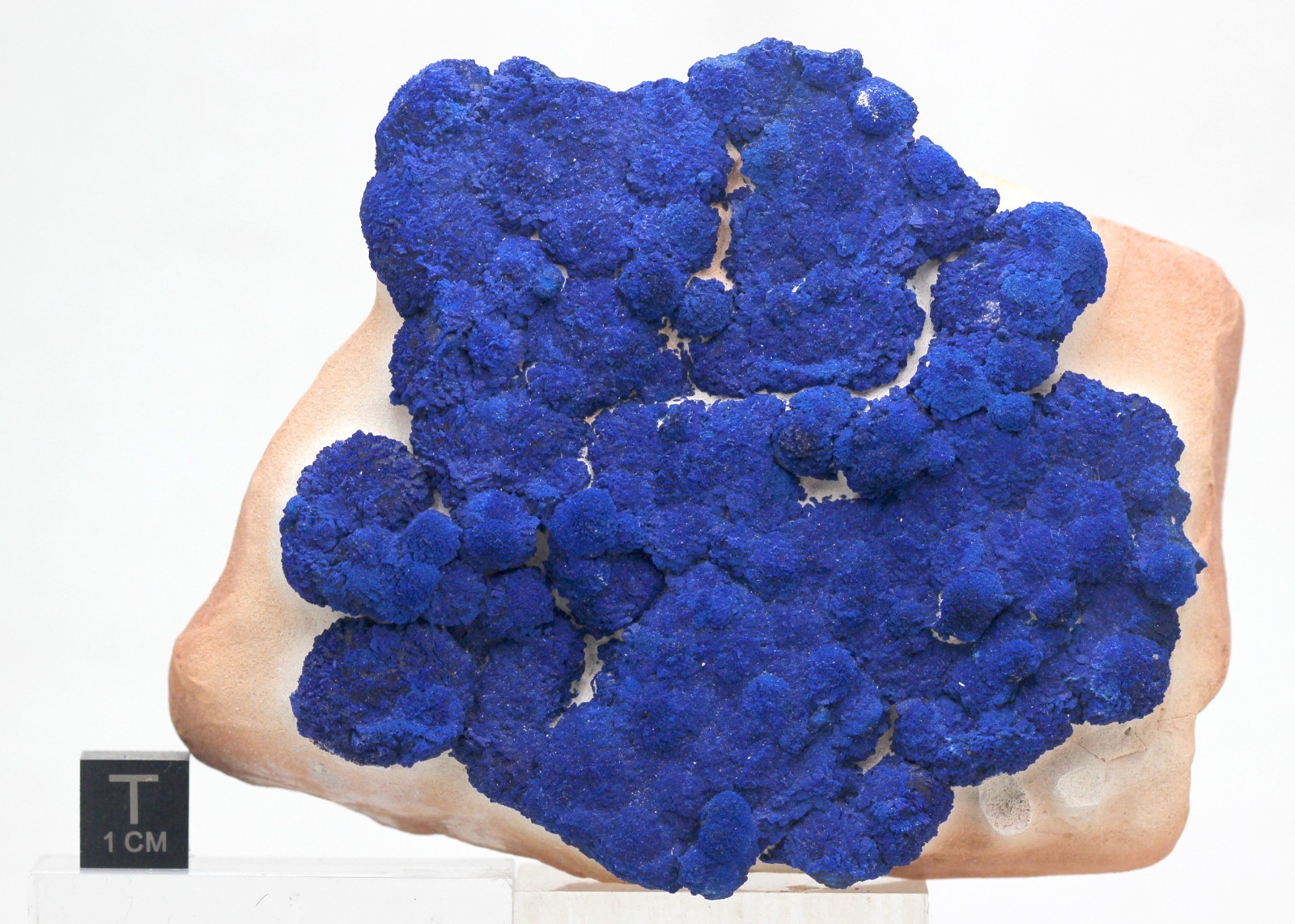 AZURITE SUN Crystal Mineral Specimen Concretion Matrix Suns AUSTRALIA USA SELLER