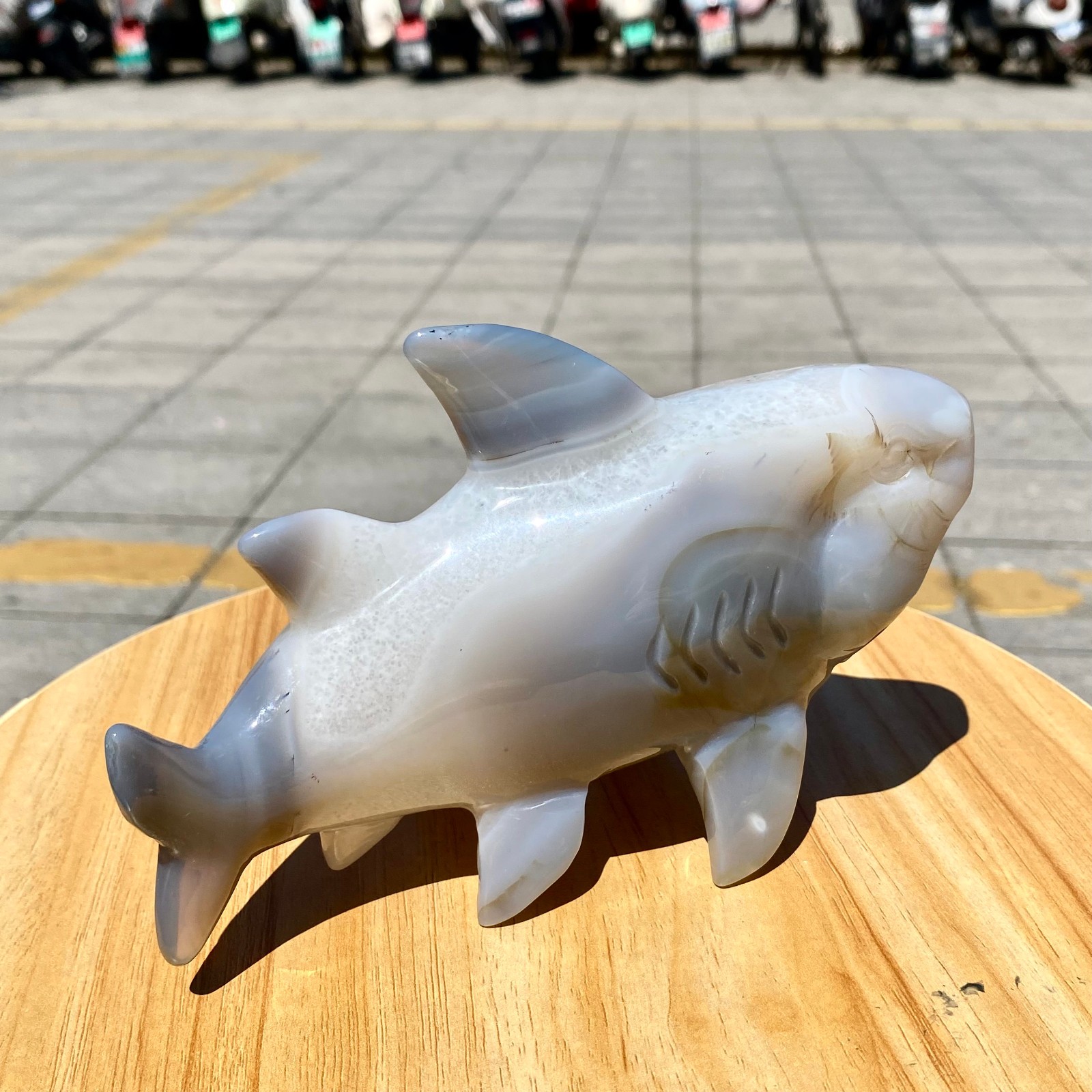 1.65LB Natural Agate Hand Carved Shark Figurine, Ocean Power Crystal Statue