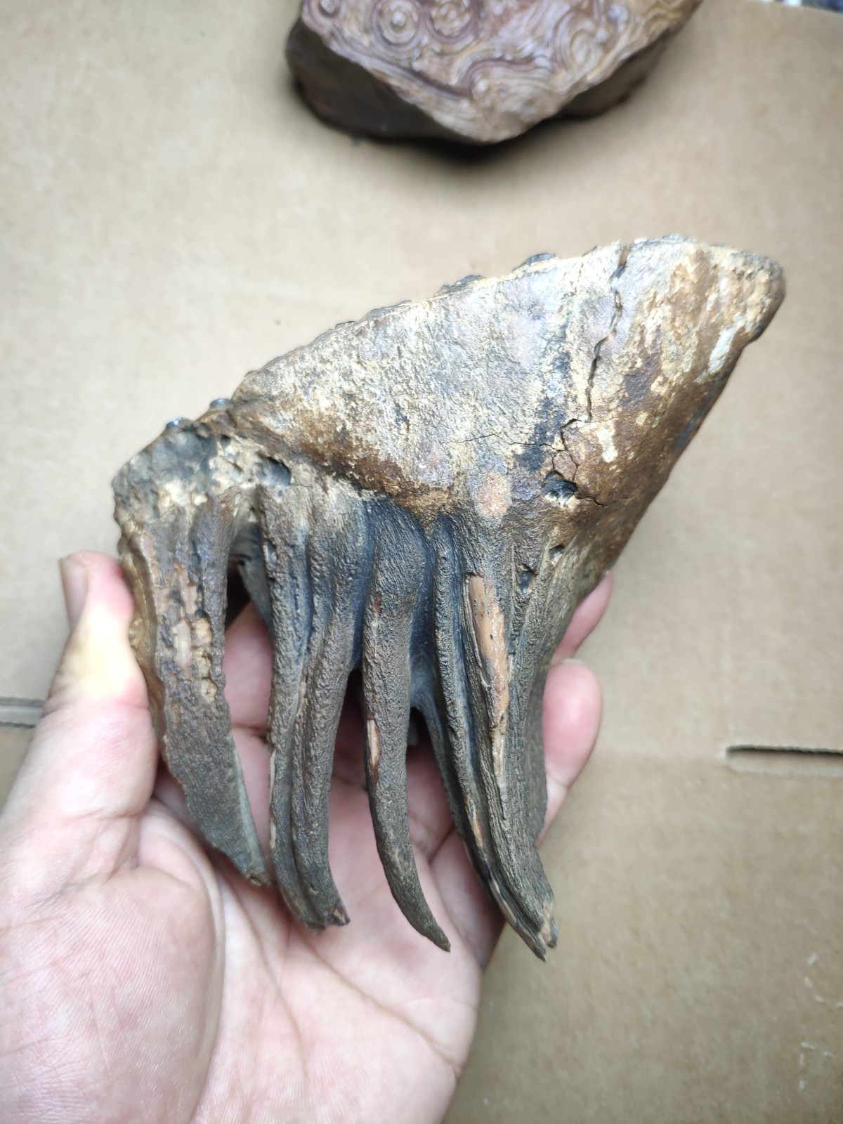 530g Beautiful Clear texture landscape stone
