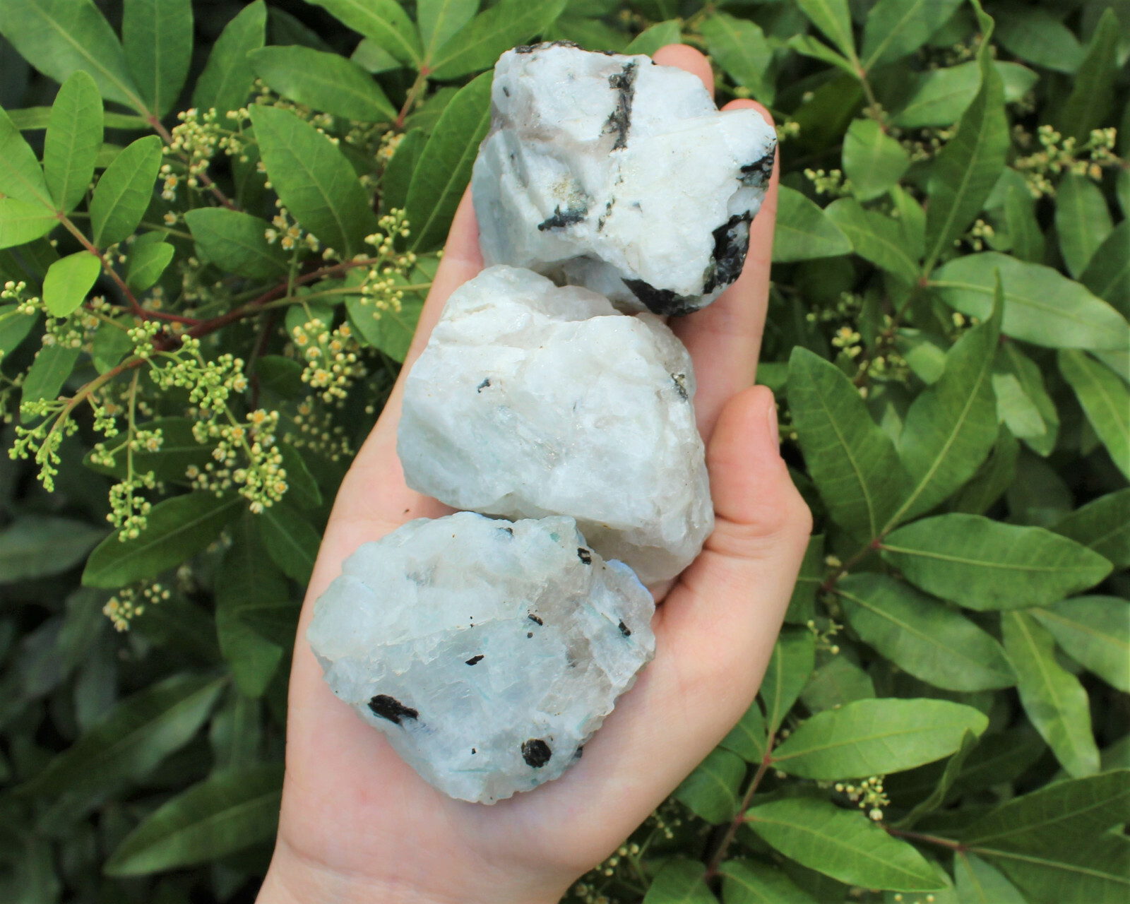 LARGE Rough Rainbow Moonstone Chunks, 2″ – 3″ Choose Amount (Raw Jumbo Crystal)