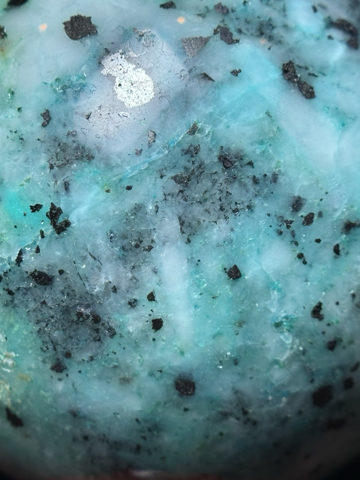 61mm PHOENIX PINE SPHERE – Fynchenite Chrysocolla Malachite Quartz Crystal Decor