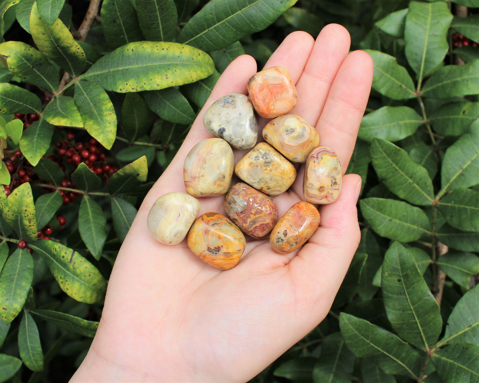 Bulk 1/4 lb lot Crazy Lace Agate Tumbled Stone (Crystal Healing Gemstone) 4 oz