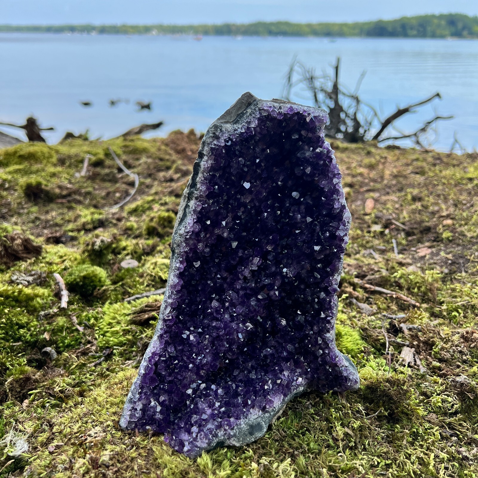 HUGE XXXL LARGE Amethyst Druze Crystal Cluster With Cut Base Specimen ~ 4-6 Lbs