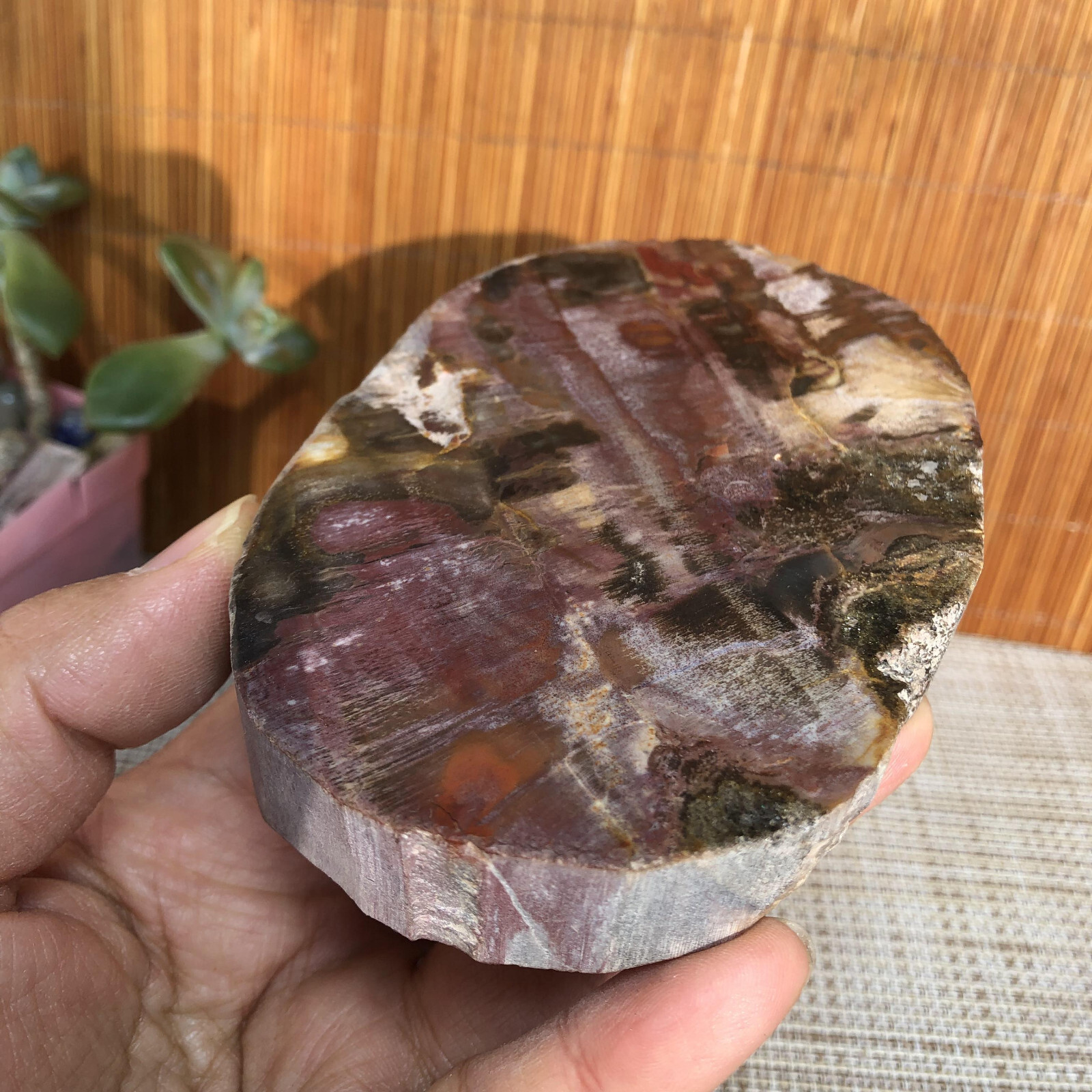 109mm natural Beautiful Petrified Wood Crystal Slice mineral specimen 341g A4860