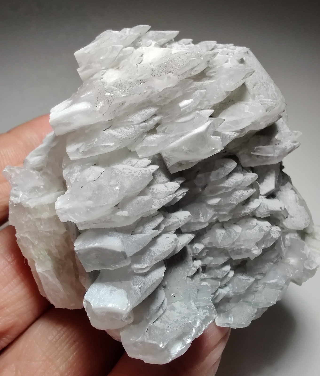 Poker-chip Calcite, excellent specimen, fluorescent. Charcas, Mexico. 217 grams.