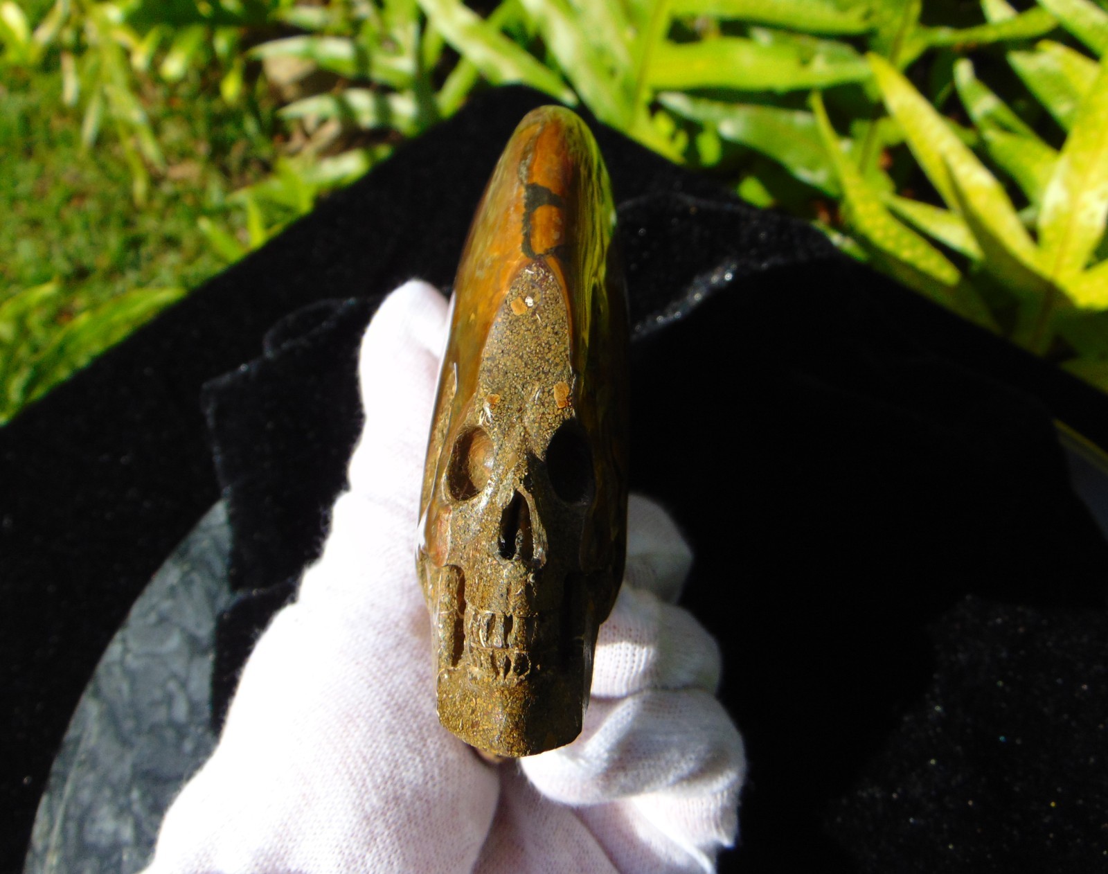Carved Skull Ammonite from Skullis