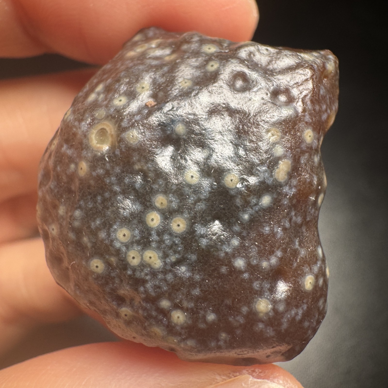 3.1cm/29g Raw Alxa Gobi Wind-Red Sweet Agate, Inner Mongolia-5257