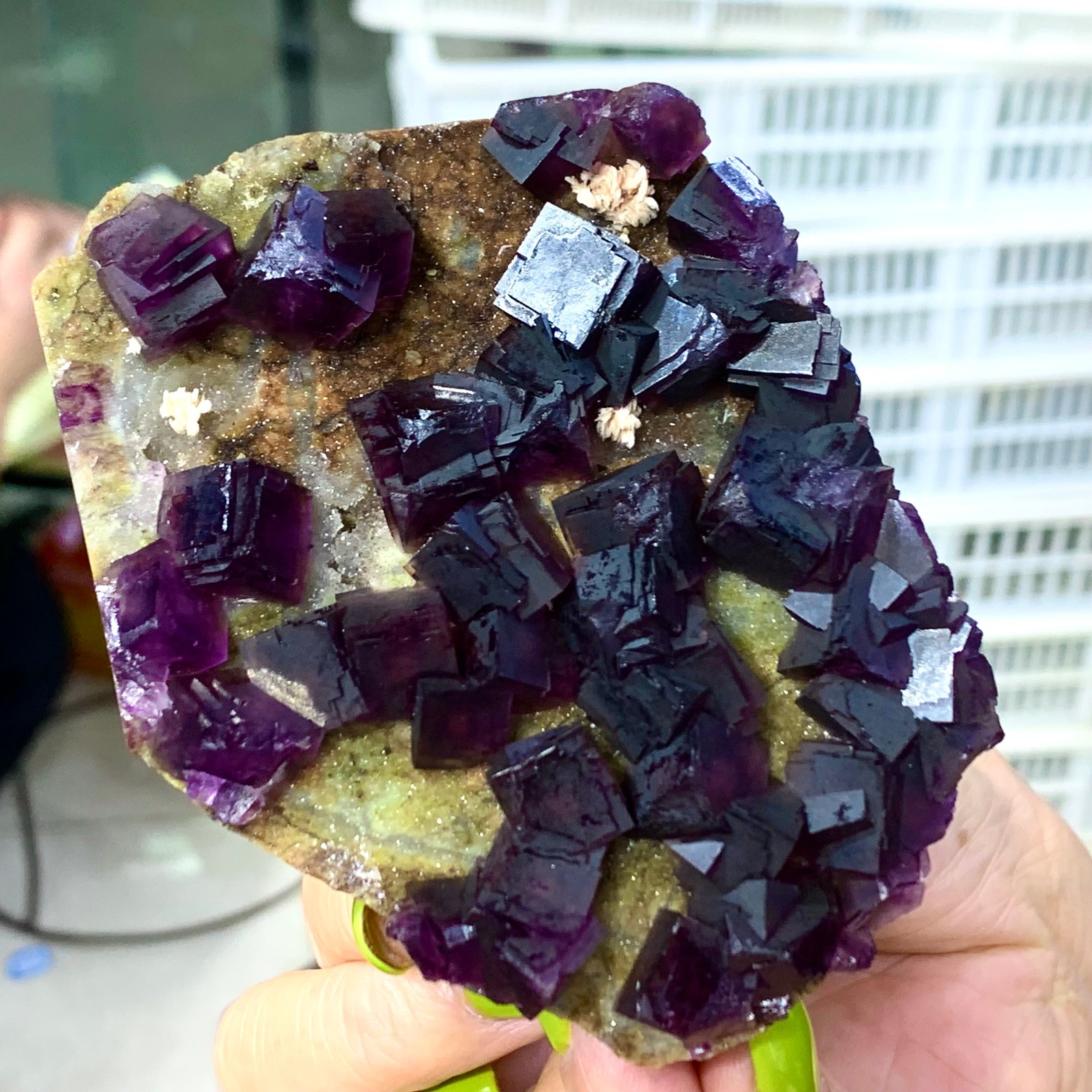 331G Rare Purple cubic fluorite mineral crystal sample/Zhejiang