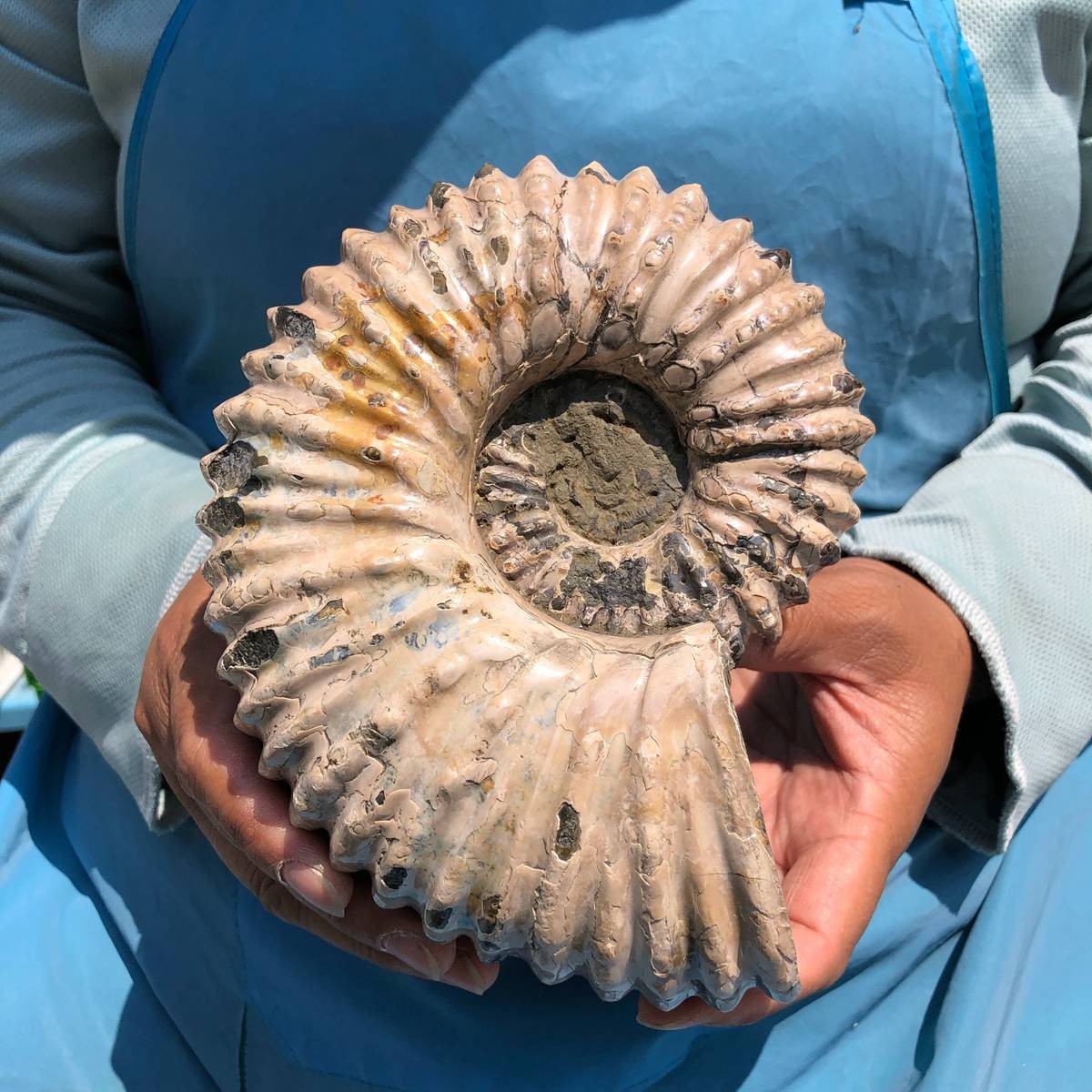 3.98LB Natural Beautiful Ammonite Fossil Conch Crystal Specimen Healing 5390