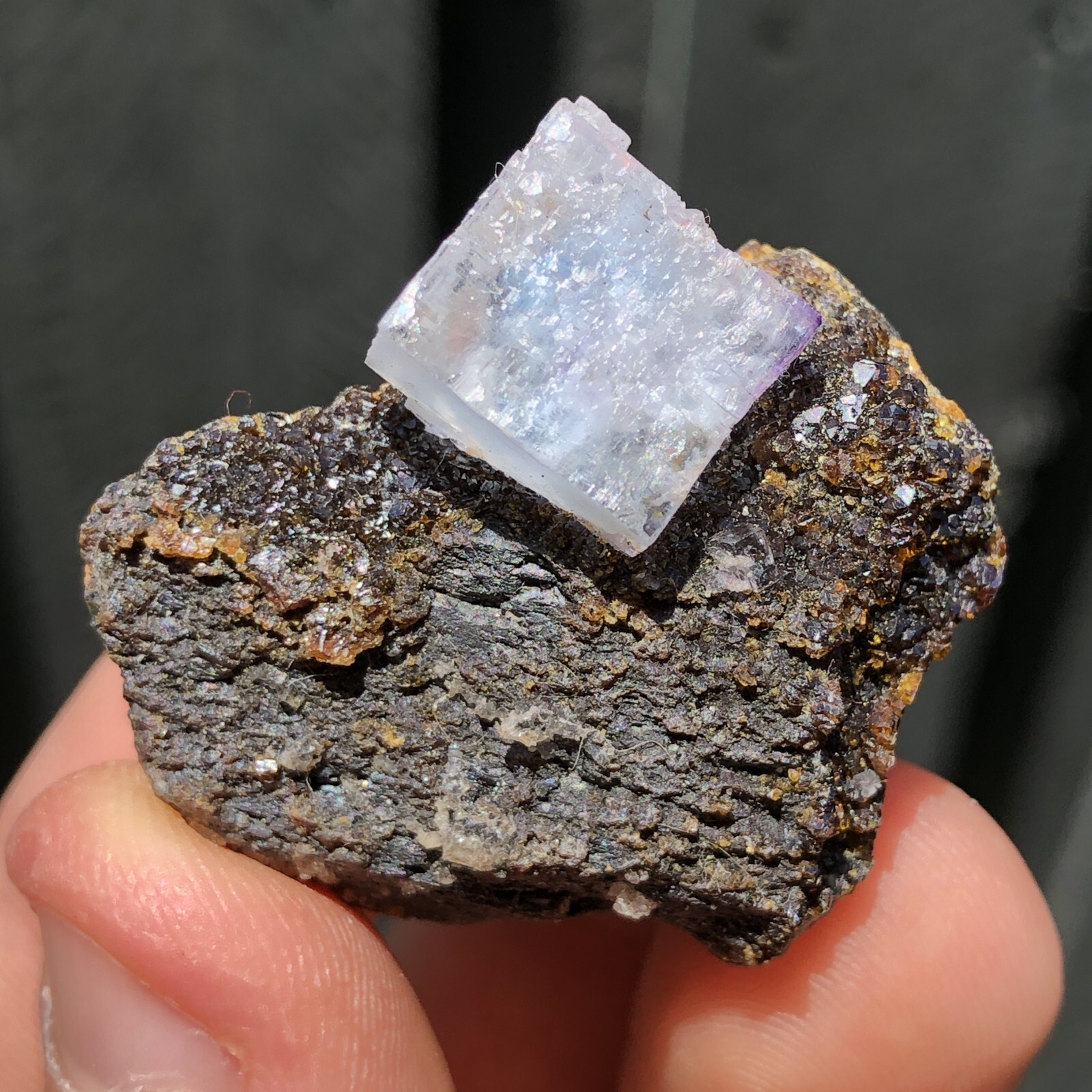 3.5cm Blue Fluorite on Sphalerite from Annabel Lee Mine, Illinois, USA