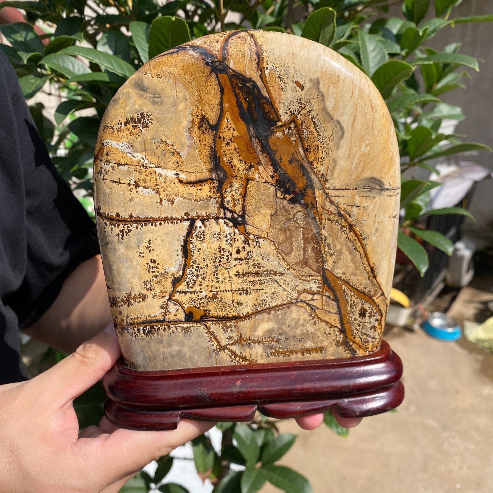 3lb Natural Dendritic Limestone Picture Stone Chinese painting stone Specimen