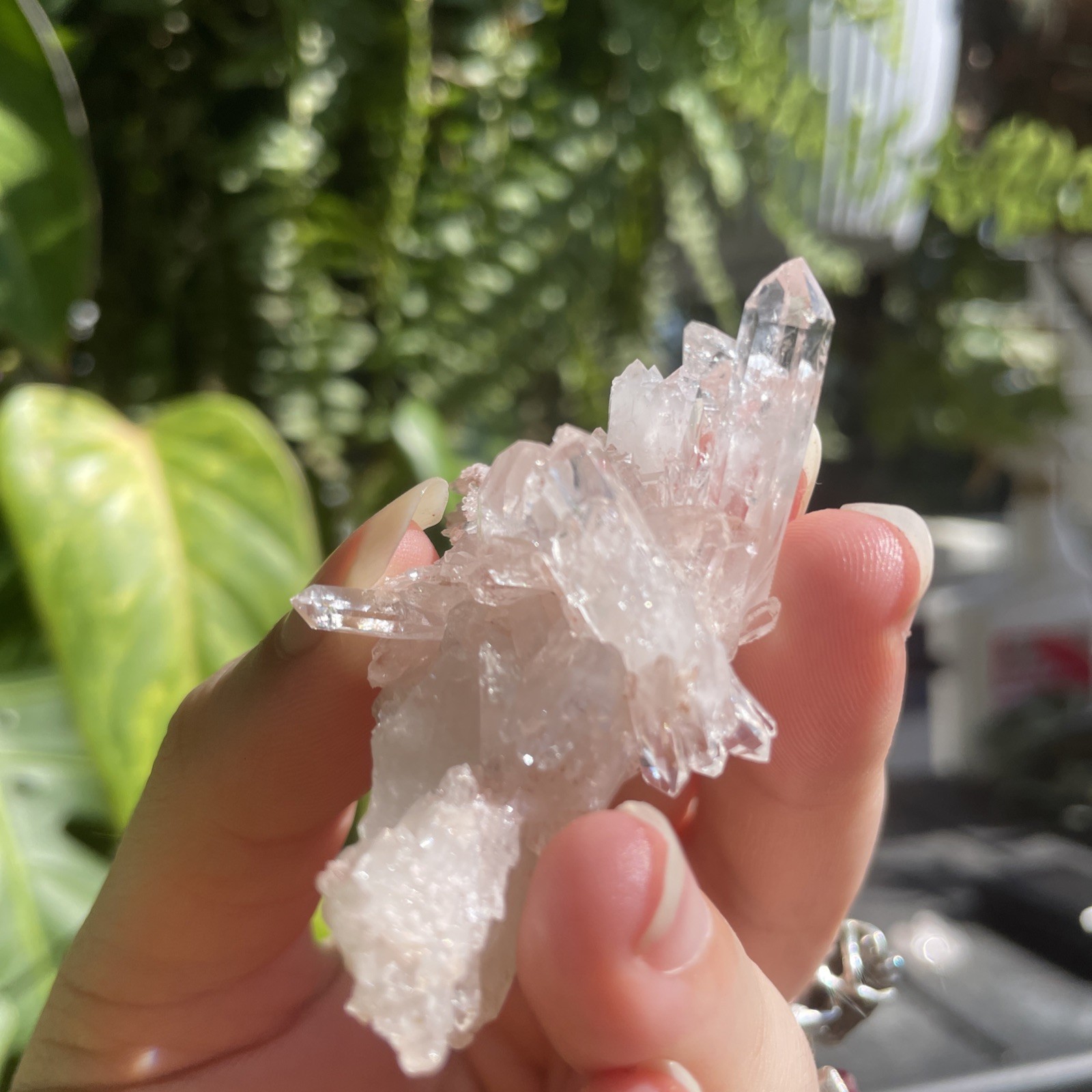 25.7g Colombian Pink Faden Quartz Crystal Cluster 💎💕✨ Rare Mineral Specimen