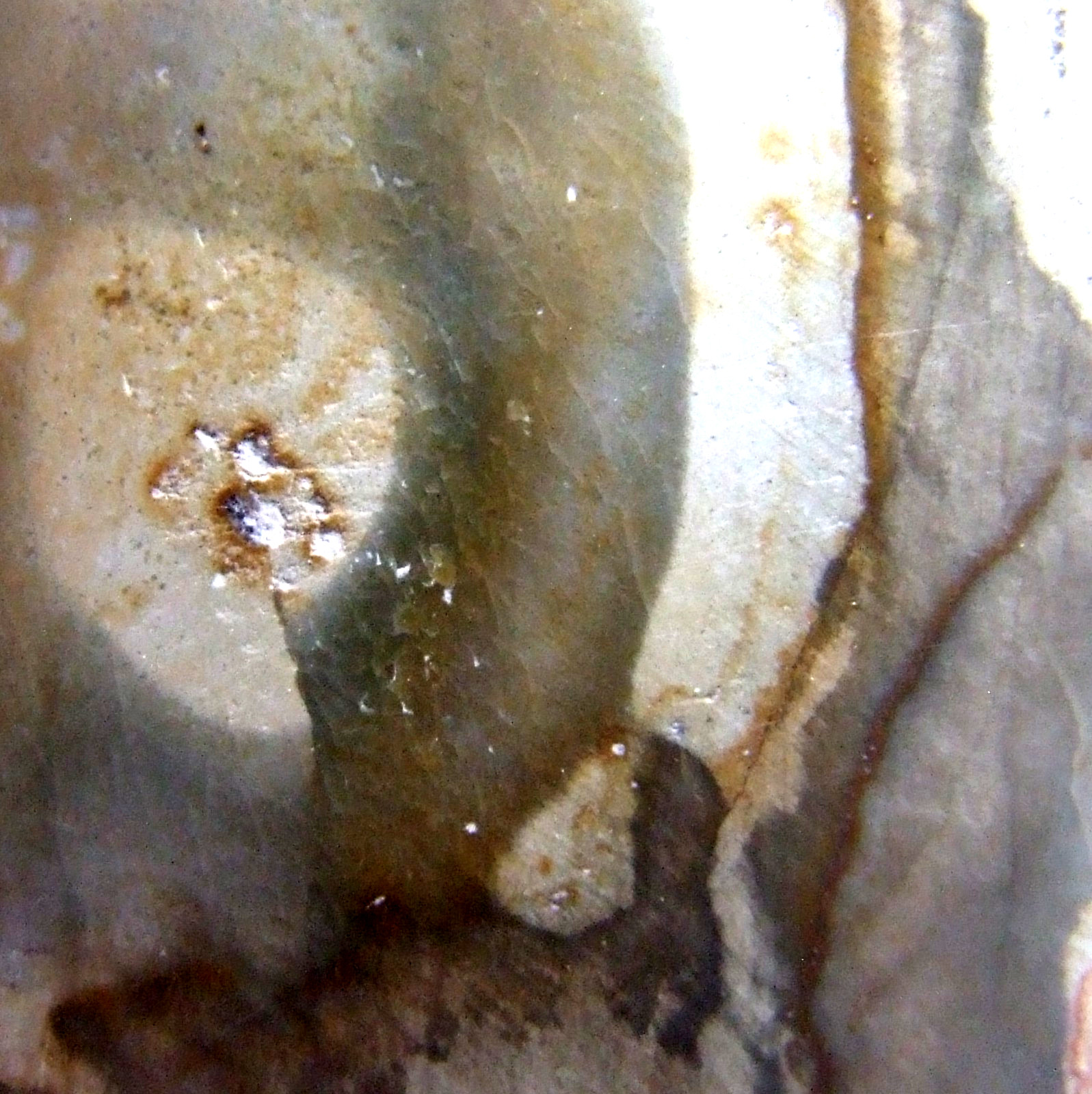 Fossil Petrified Wood Slice Madagascar Polished 4cm x 3.5cm 12g