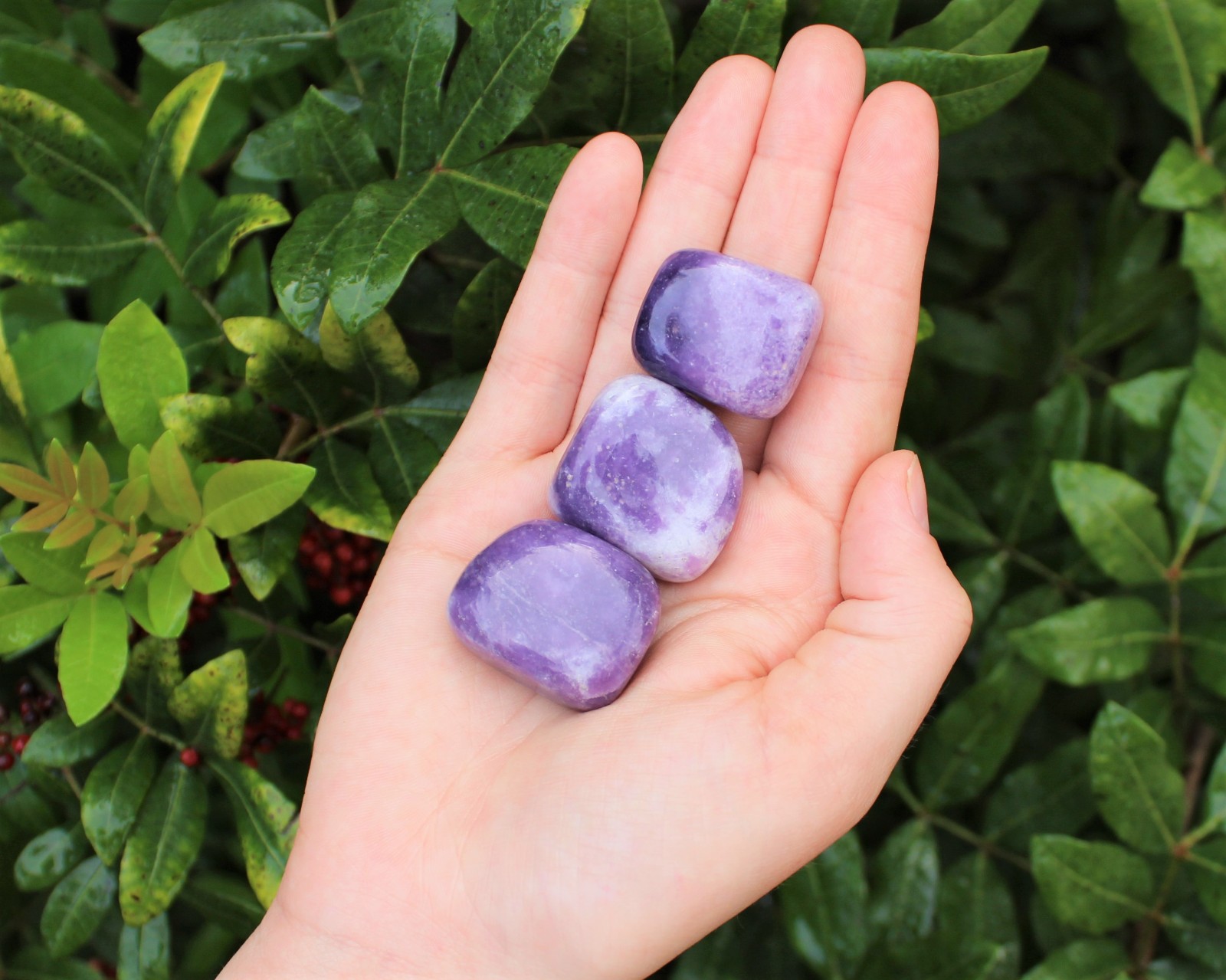 Lepidolite Tumbled Stones: Choose How Many (‘A’ Grade Lepidolite Crystals)