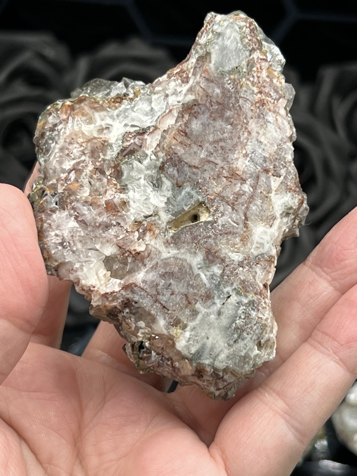 Natural Pyritic “Benz Coin” Calcite Specimen great Formation Free ship & Gift