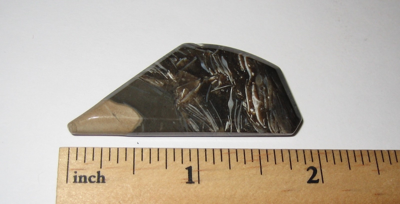 1.9″ TUMBLED POLISHED CABOCHON STYLE FOSSIL FORAMINIFERA STONE INDONESIA 9.8g *1