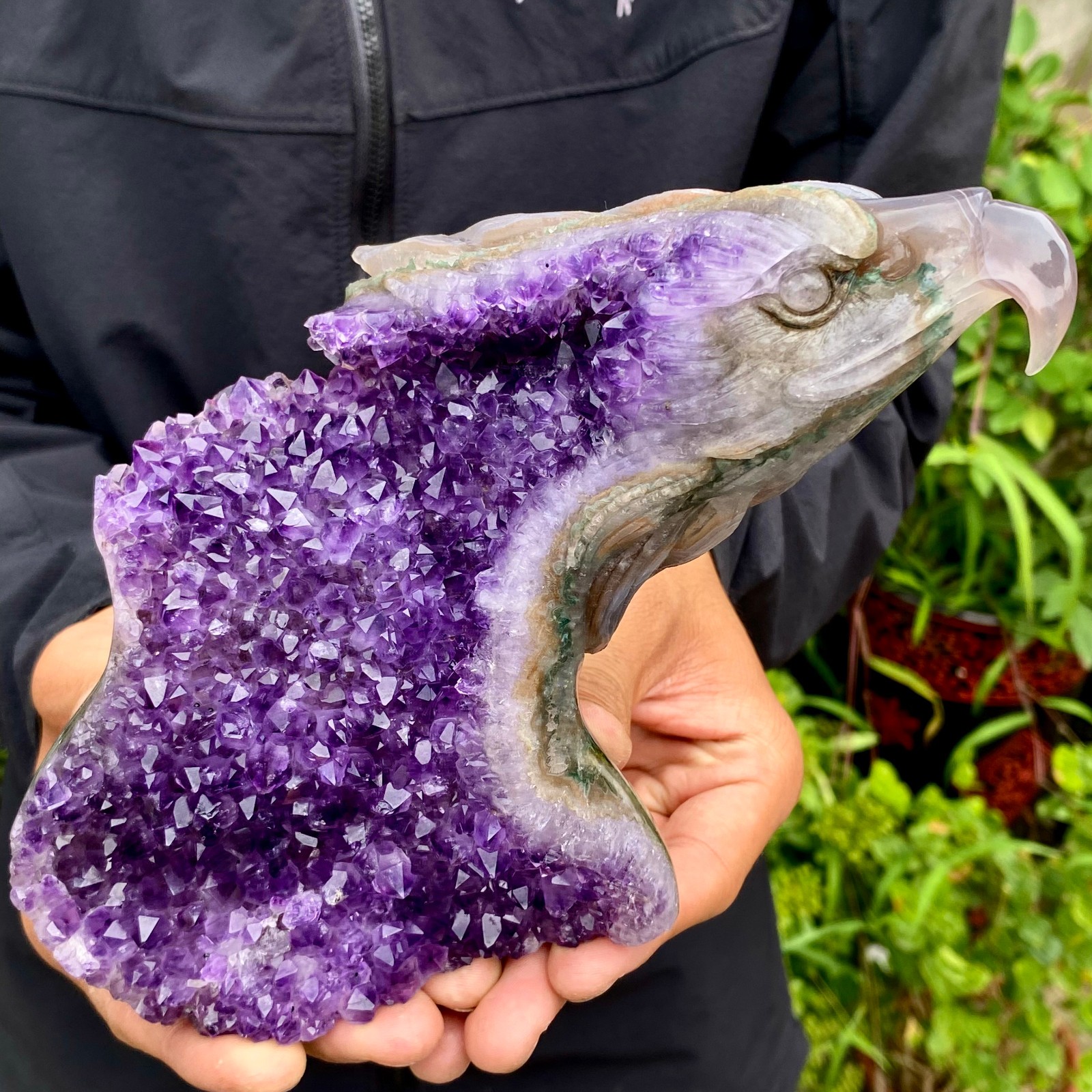2.2LB Natural Amethyst Agate Geode Hand Carved eagle Quartz Crystal Decor