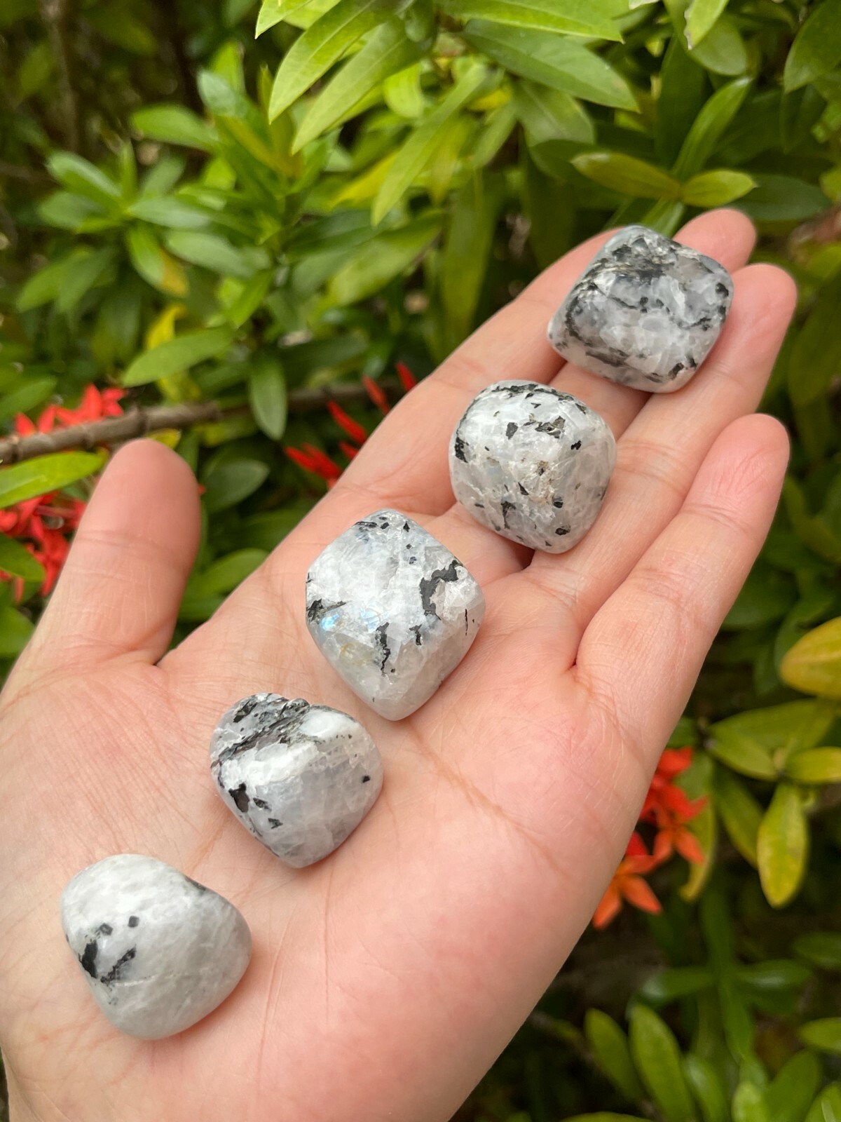 Rainbow Moonstone Tumbled Stone, 0.75-1″ Tumbled Rainbow Moonstone, Bulk Lots