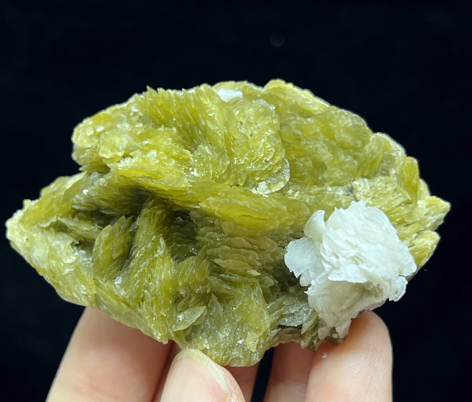 65mm 82g Dolomite on Siderite cluster, Natural Mineral