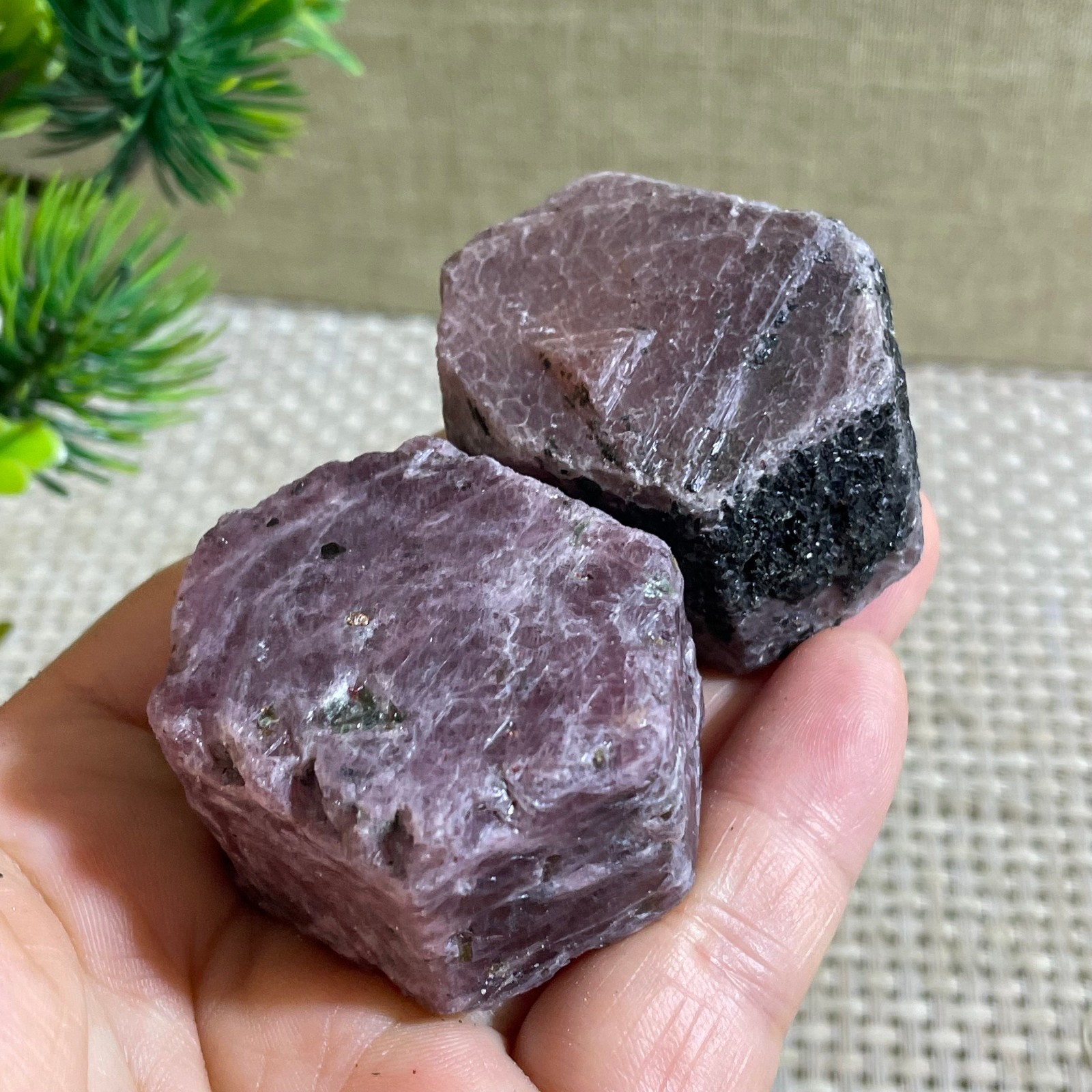 221g Natural Red Corundum Ruby Crystal Rough Mineral Specimen reiki Healing 2pcs