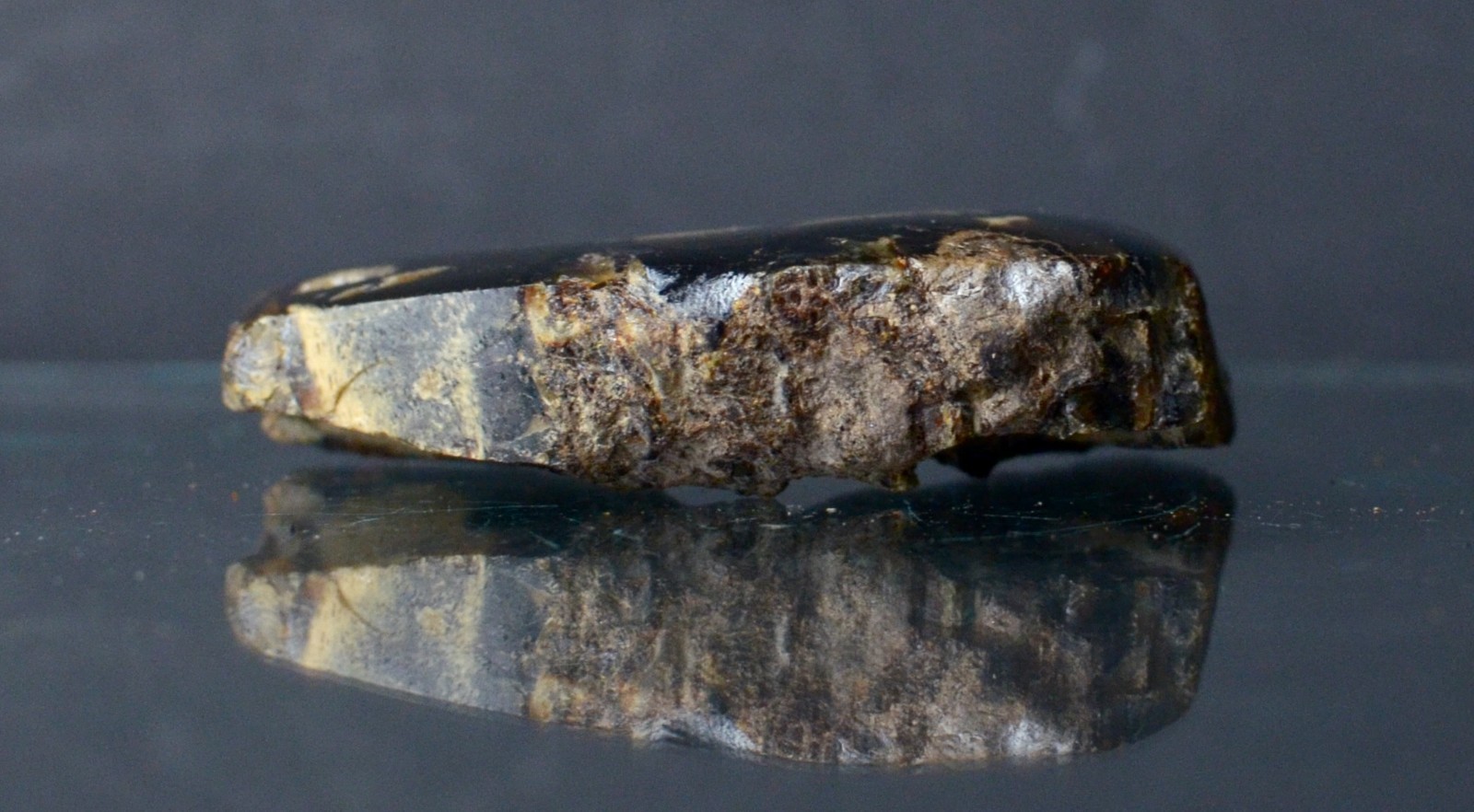 Polished Blue Amber | UV Reactive Amber Indonesia B116
