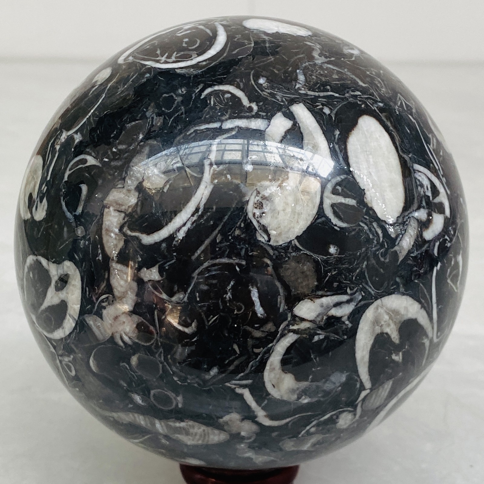 Natural Shell Jasper Thousand Eye Stone Crystal Polished Ball Healing (4.98LB)